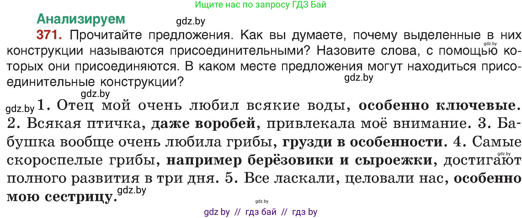 Русский язык, 8 класс Учебник, авторы: Мурина Лариса Александровна, Долбик Елена Евгеньевна, Леонович Валентина Леонидовна, Жадейко Жанна Фёдоровна, издательство Академия образования, Минск, 2024, страница 203, номер 371, Условие