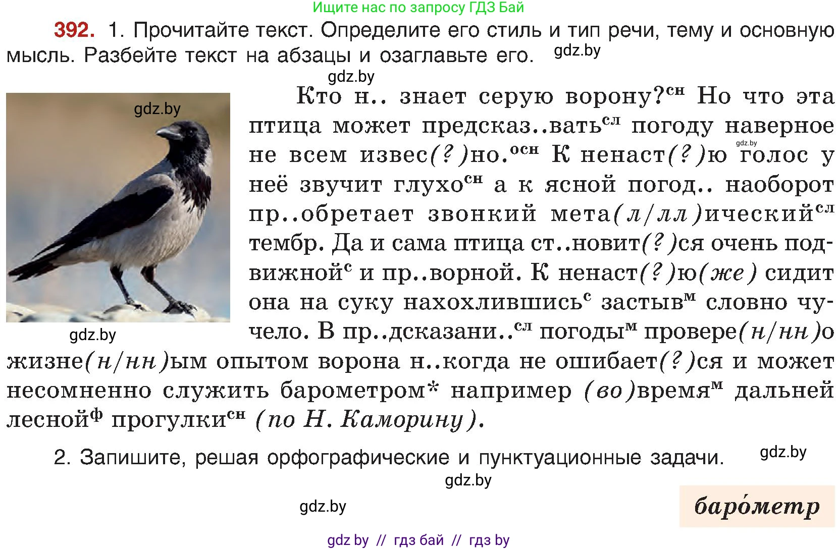 Русский язык, 8 класс Учебник, авторы: Мурина Лариса Александровна, Долбик Елена Евгеньевна, Леонович Валентина Леонидовна, Жадейко Жанна Фёдоровна, издательство Академия образования, Минск, 2024, страница 216, номер 392, Условие
