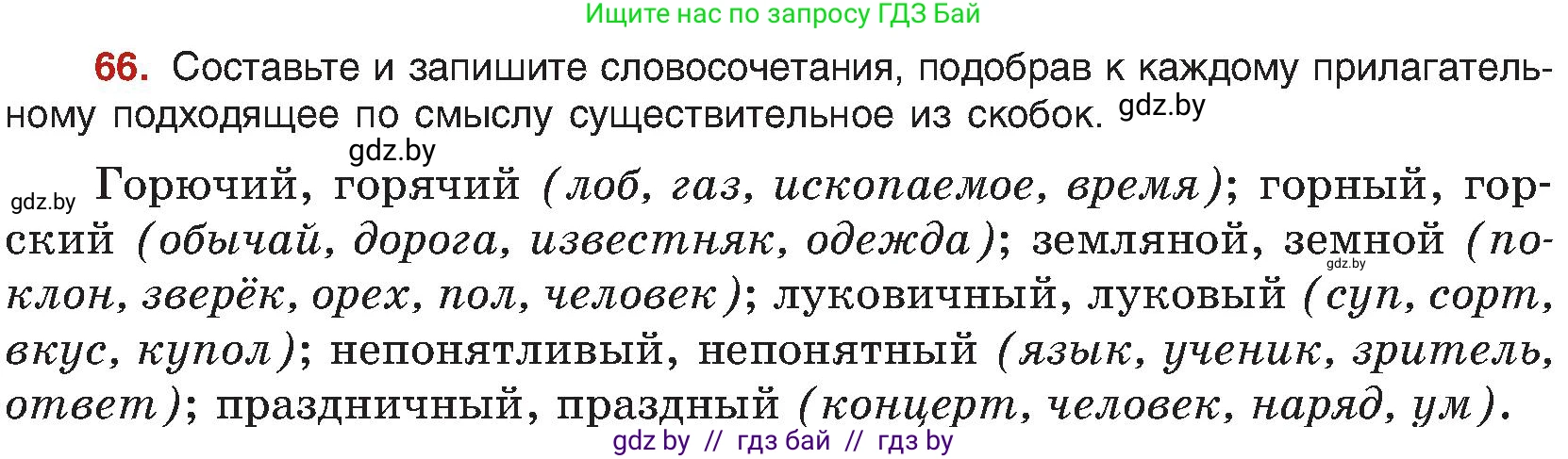 Русский язык, 8 класс Учебник, авторы: Мурина Лариса Александровна, Долбик Елена Евгеньевна, Леонович Валентина Леонидовна, Жадейко Жанна Фёдоровна, издательство Академия образования, Минск, 2024, страница 47, номер 66, Условие