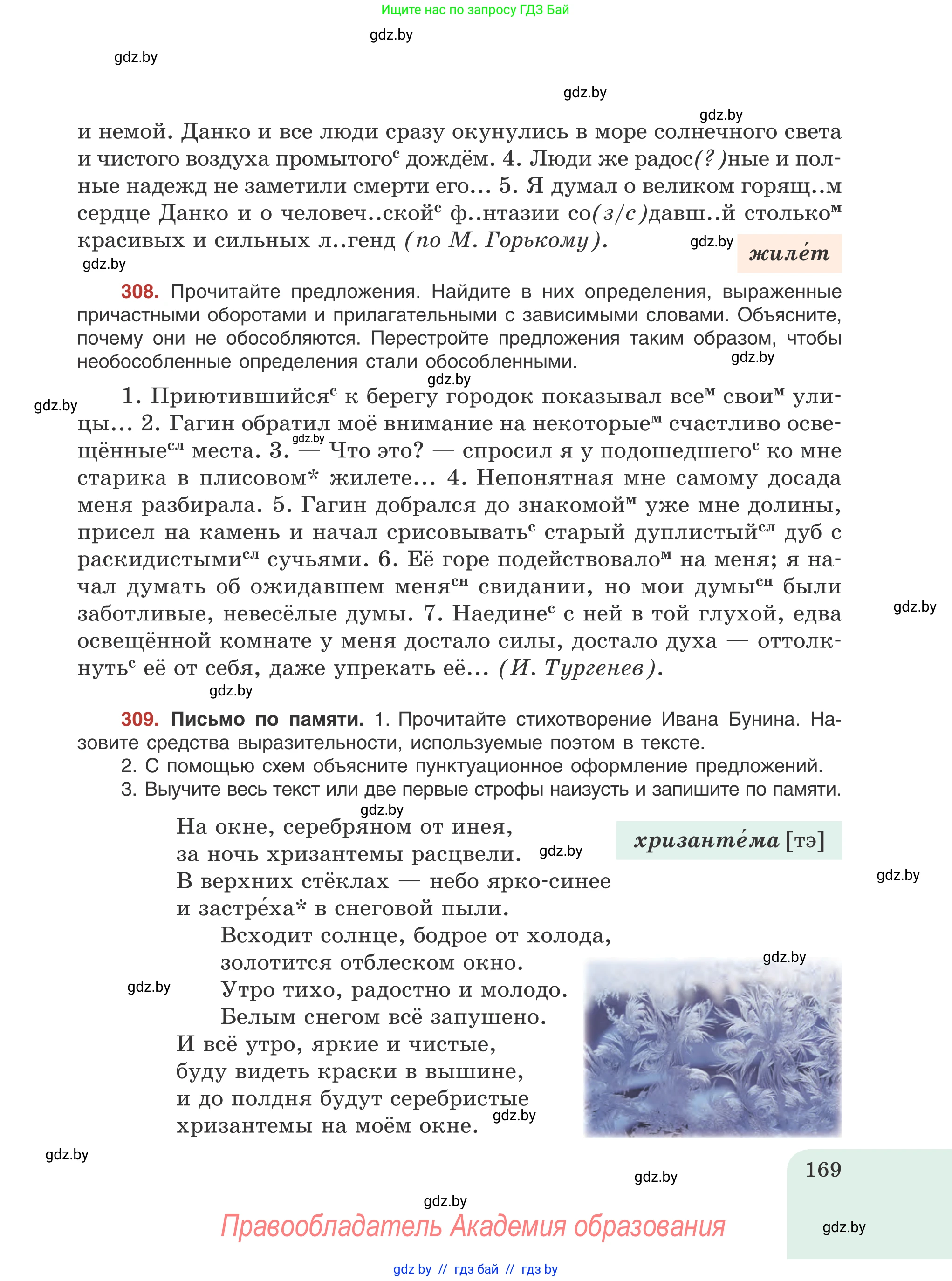 Русский язык, 8 класс Учебник, авторы: Мурина Лариса Александровна, Долбик Елена Евгеньевна, Леонович Валентина Леонидовна, Жадейко Жанна Фёдоровна, издательство Академия образования, Минск, 2024, страница 169