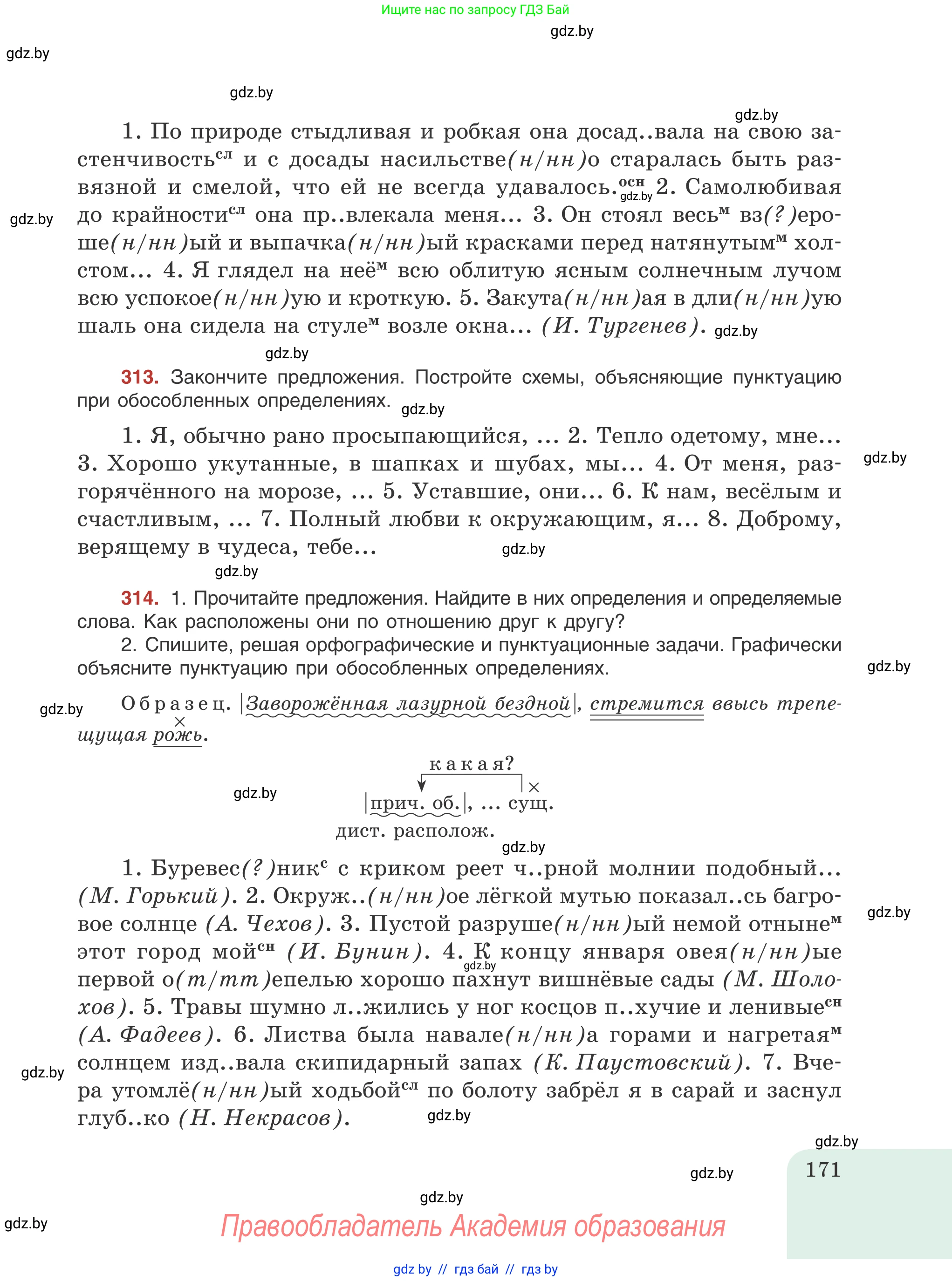 Русский язык, 8 класс Учебник, авторы: Мурина Лариса Александровна, Долбик Елена Евгеньевна, Леонович Валентина Леонидовна, Жадейко Жанна Фёдоровна, издательство Академия образования, Минск, 2024, страница 171