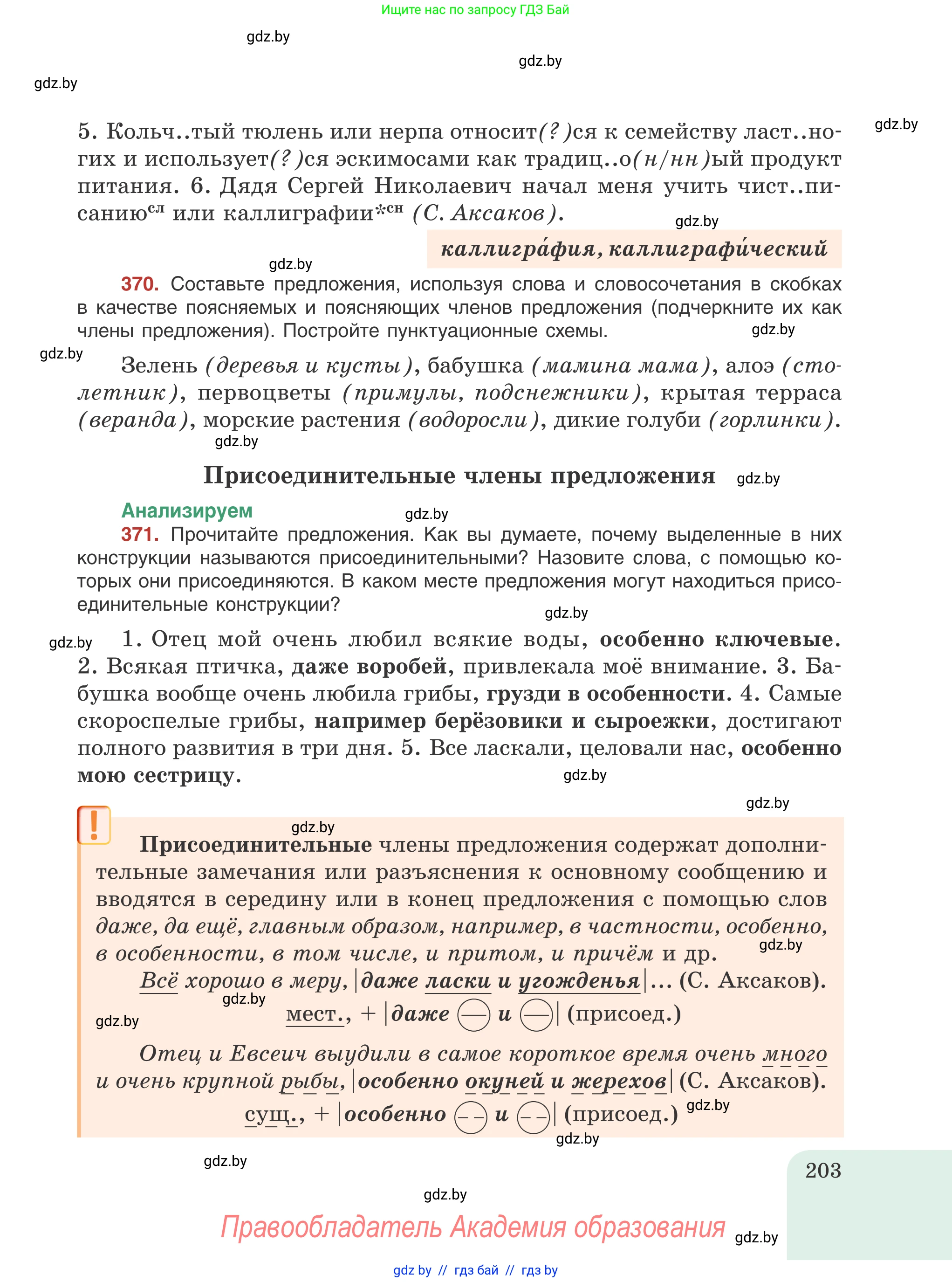 Русский язык, 8 класс Учебник, авторы: Мурина Лариса Александровна, Долбик Елена Евгеньевна, Леонович Валентина Леонидовна, Жадейко Жанна Фёдоровна, издательство Академия образования, Минск, 2024, страница 203
