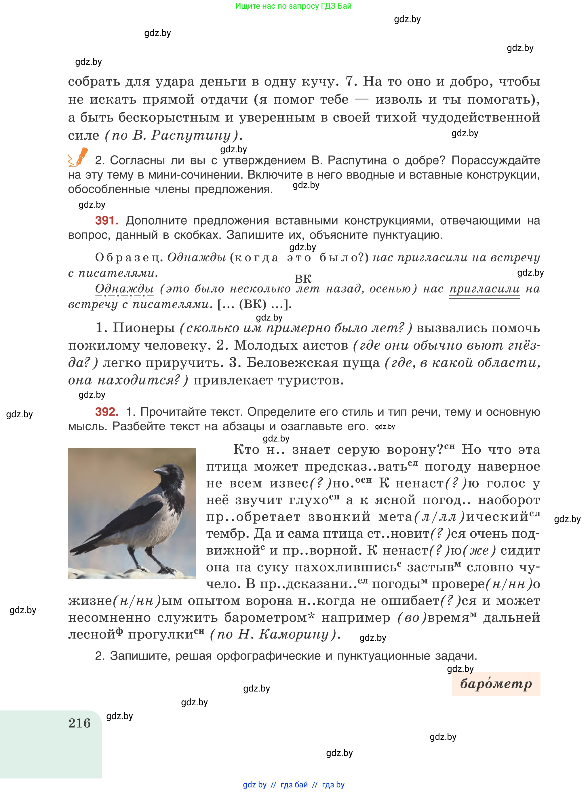 Русский язык, 8 класс Учебник, авторы: Мурина Лариса Александровна, Долбик Елена Евгеньевна, Леонович Валентина Леонидовна, Жадейко Жанна Фёдоровна, издательство Академия образования, Минск, 2024, страница 216
