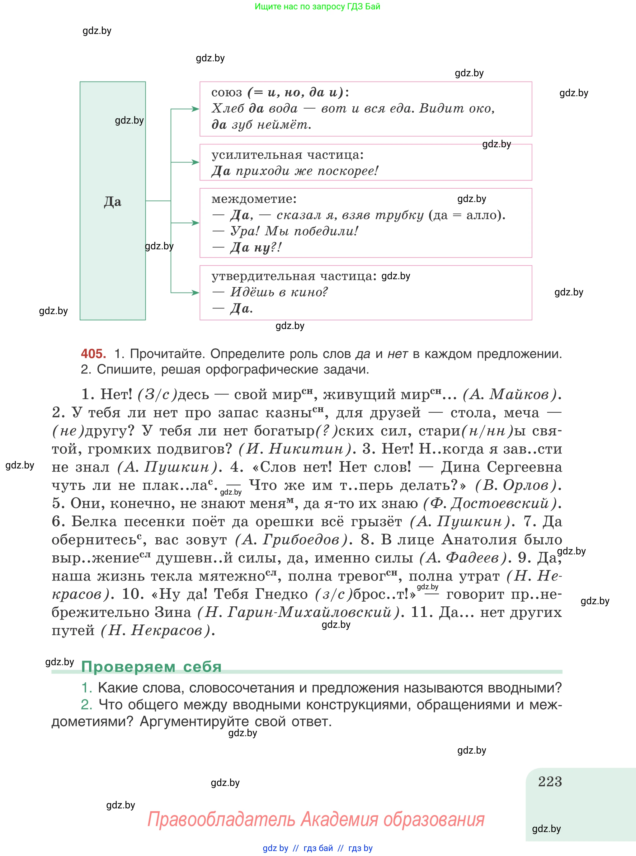 Русский язык, 8 класс Учебник, авторы: Мурина Лариса Александровна, Долбик Елена Евгеньевна, Леонович Валентина Леонидовна, Жадейко Жанна Фёдоровна, издательство Академия образования, Минск, 2024, страница 223