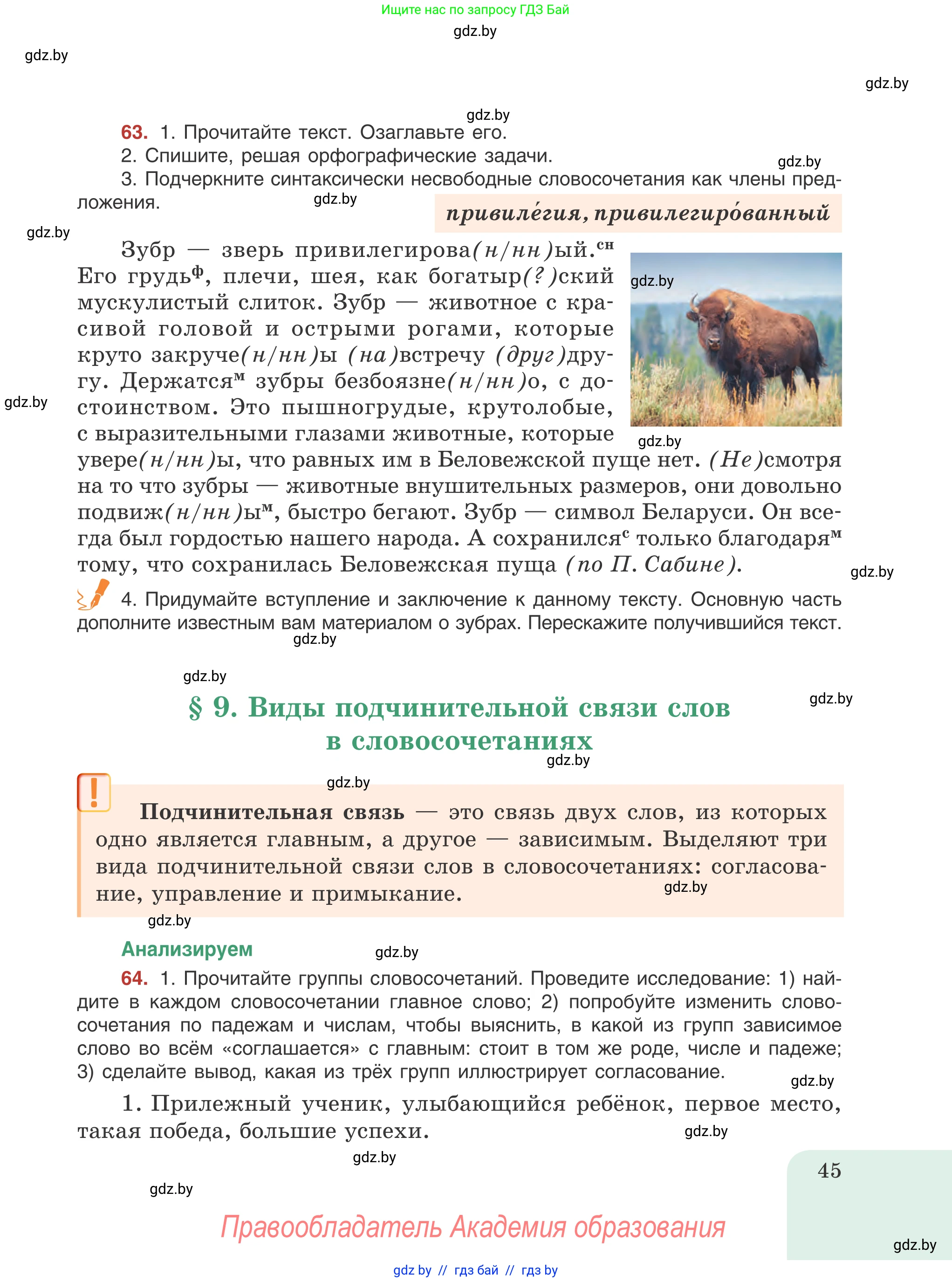 Русский язык, 8 класс Учебник, авторы: Мурина Лариса Александровна, Долбик Елена Евгеньевна, Леонович Валентина Леонидовна, Жадейко Жанна Фёдоровна, издательство Академия образования, Минск, 2024, страница 45