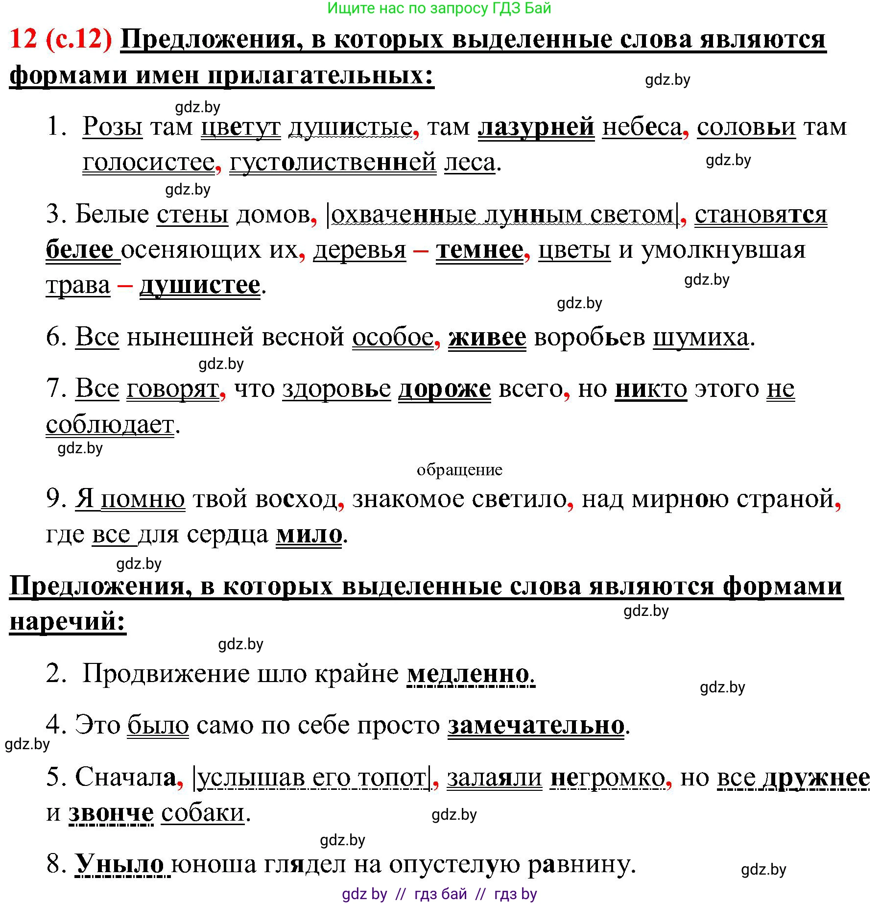 Русский язык, 8 класс Учебник, авторы: Мурина Лариса Александровна, Долбик Елена Евгеньевна, Леонович Валентина Леонидовна, Жадейко Жанна Фёдоровна, издательство Академия образования, Минск, 2024, страница 13, номер 12, Решение