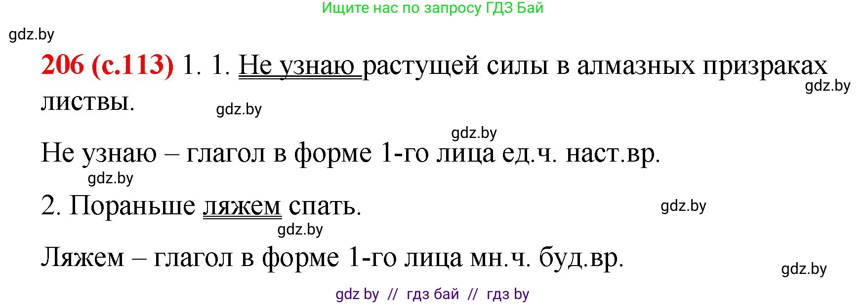 Русский язык, 8 класс Учебник, авторы: Мурина Лариса Александровна, Долбик Елена Евгеньевна, Леонович Валентина Леонидовна, Жадейко Жанна Фёдоровна, издательство Академия образования, Минск, 2024, страница 113, номер 206, Решение