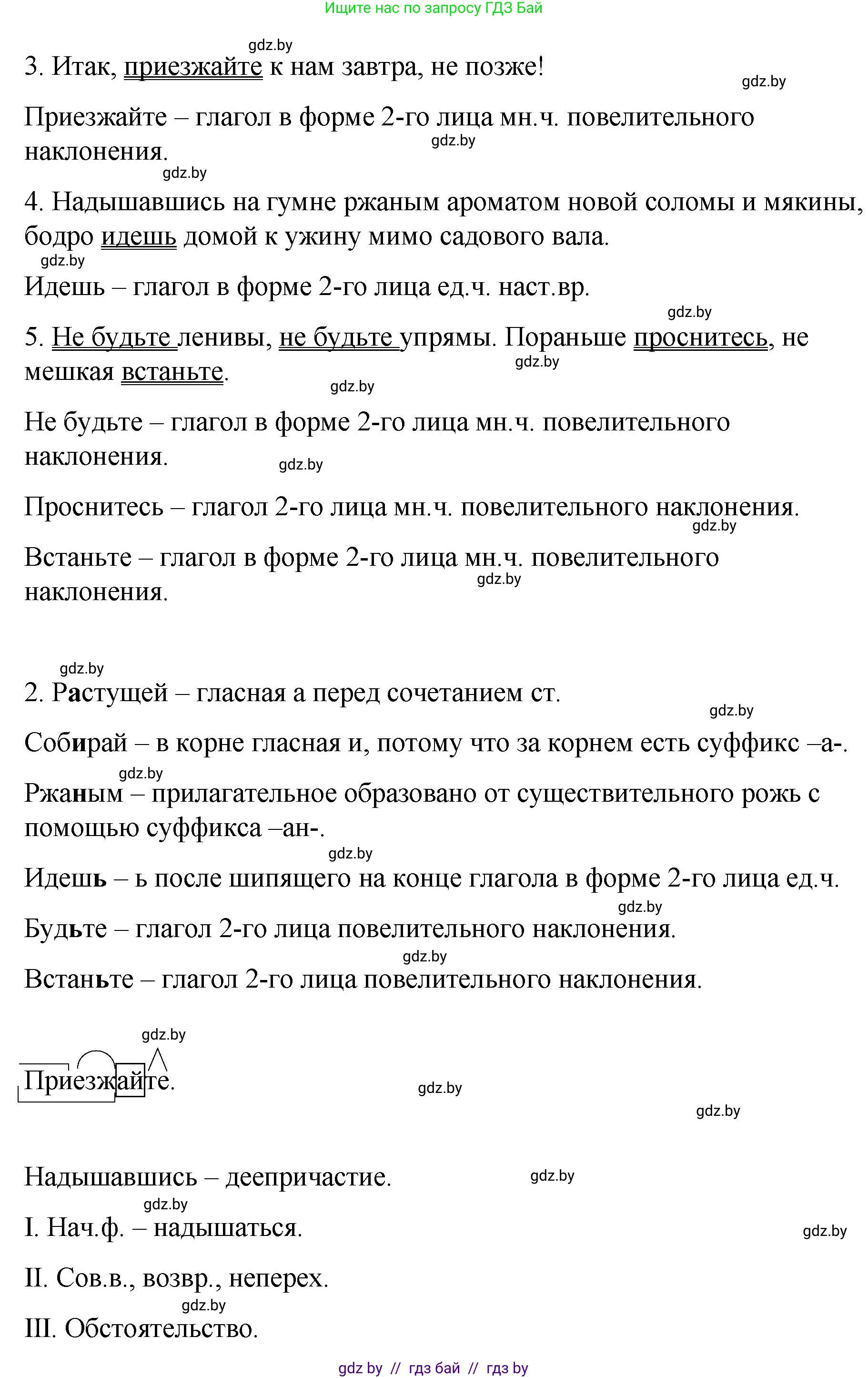 Русский язык, 8 класс Учебник, авторы: Мурина Лариса Александровна, Долбик Елена Евгеньевна, Леонович Валентина Леонидовна, Жадейко Жанна Фёдоровна, издательство Академия образования, Минск, 2024, страница 113, номер 206, Решение (продолжение 2)
