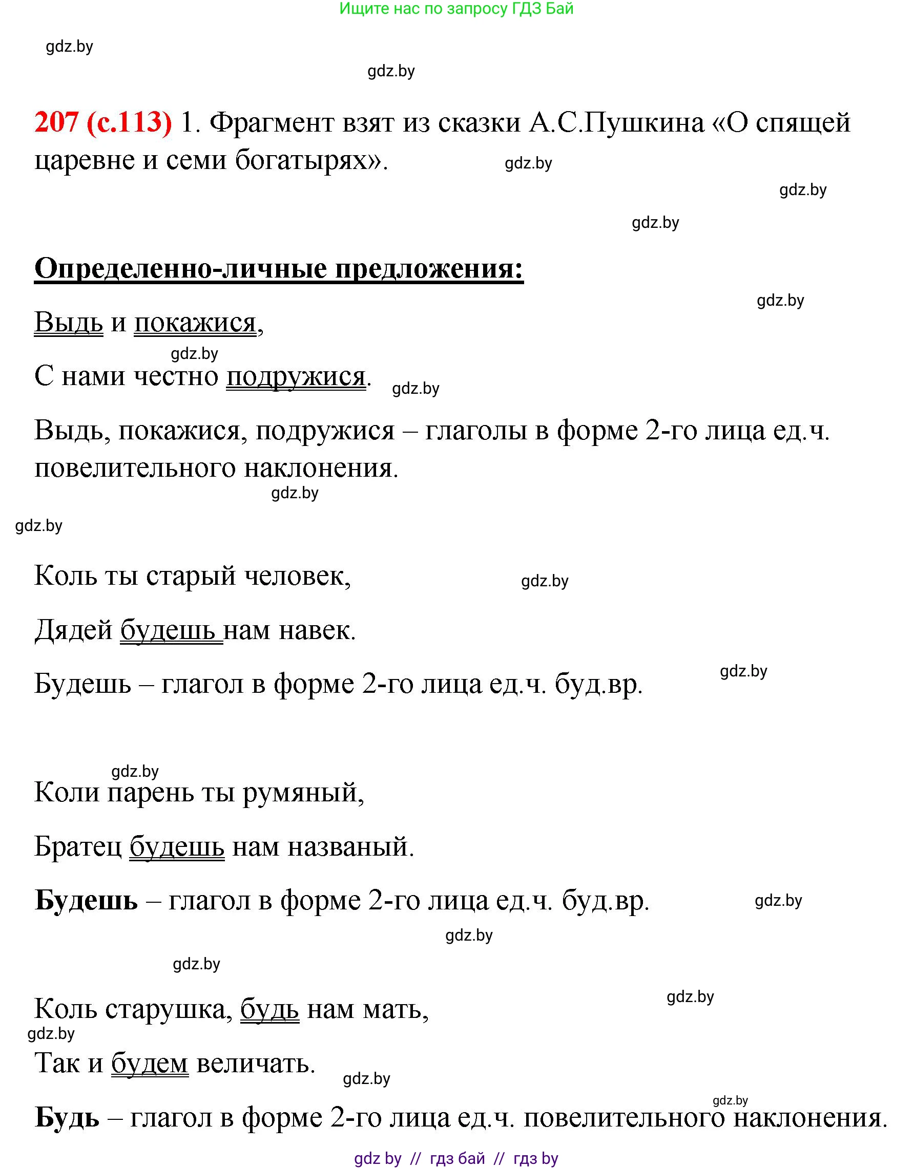 Русский язык, 8 класс Учебник, авторы: Мурина Лариса Александровна, Долбик Елена Евгеньевна, Леонович Валентина Леонидовна, Жадейко Жанна Фёдоровна, издательство Академия образования, Минск, 2024, страница 113, номер 207, Решение