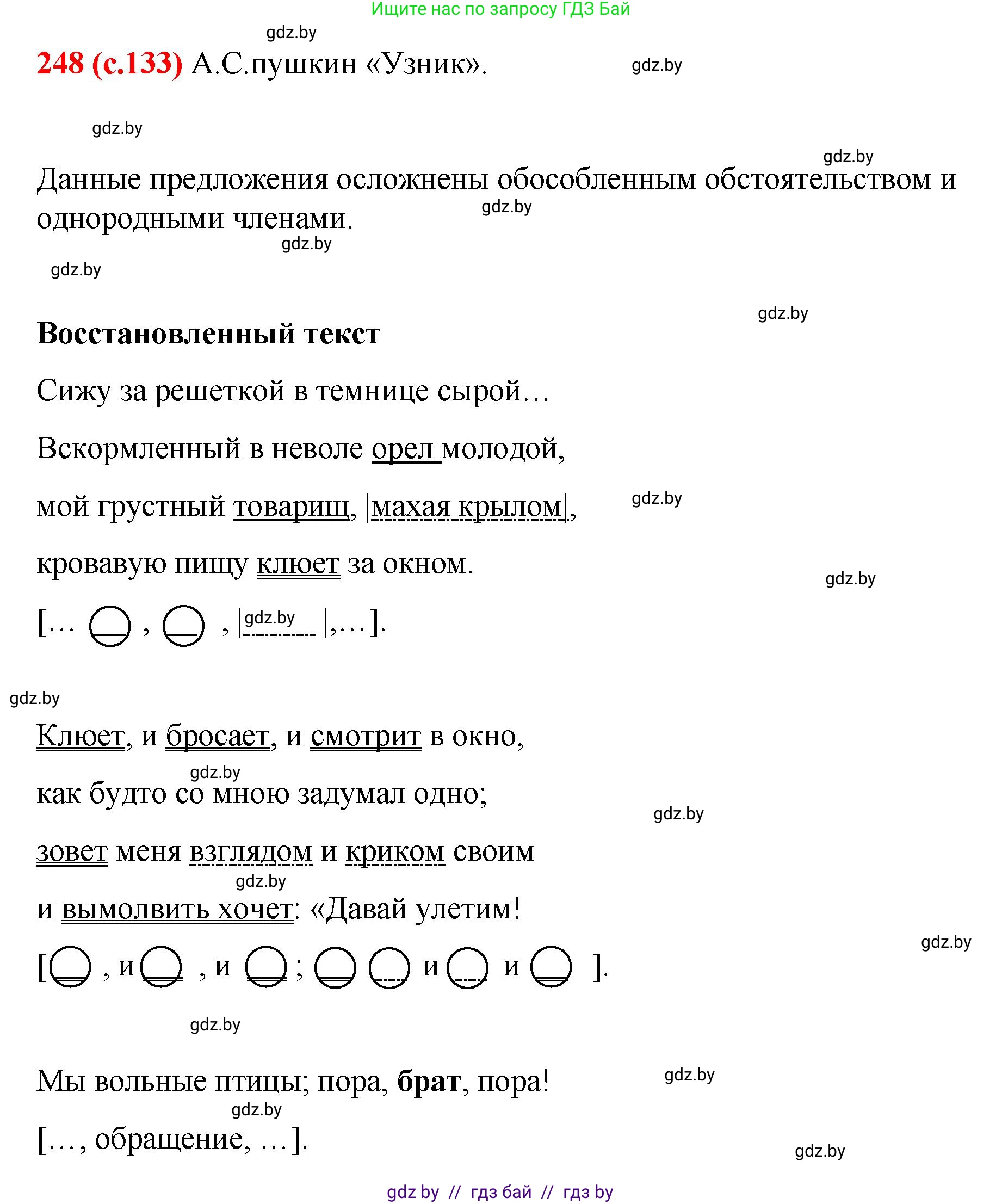 Русский язык, 8 класс Учебник, авторы: Мурина Лариса Александровна, Долбик Елена Евгеньевна, Леонович Валентина Леонидовна, Жадейко Жанна Фёдоровна, издательство Академия образования, Минск, 2024, страница 133, номер 248, Решение