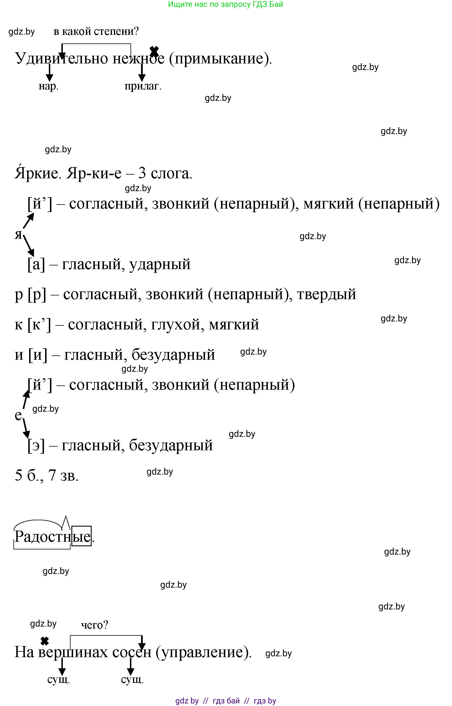 Русский язык, 8 класс Учебник, авторы: Мурина Лариса Александровна, Долбик Елена Евгеньевна, Леонович Валентина Леонидовна, Жадейко Жанна Фёдоровна, издательство Академия образования, Минск, 2024, страница 133, номер 249, Решение (продолжение 3)