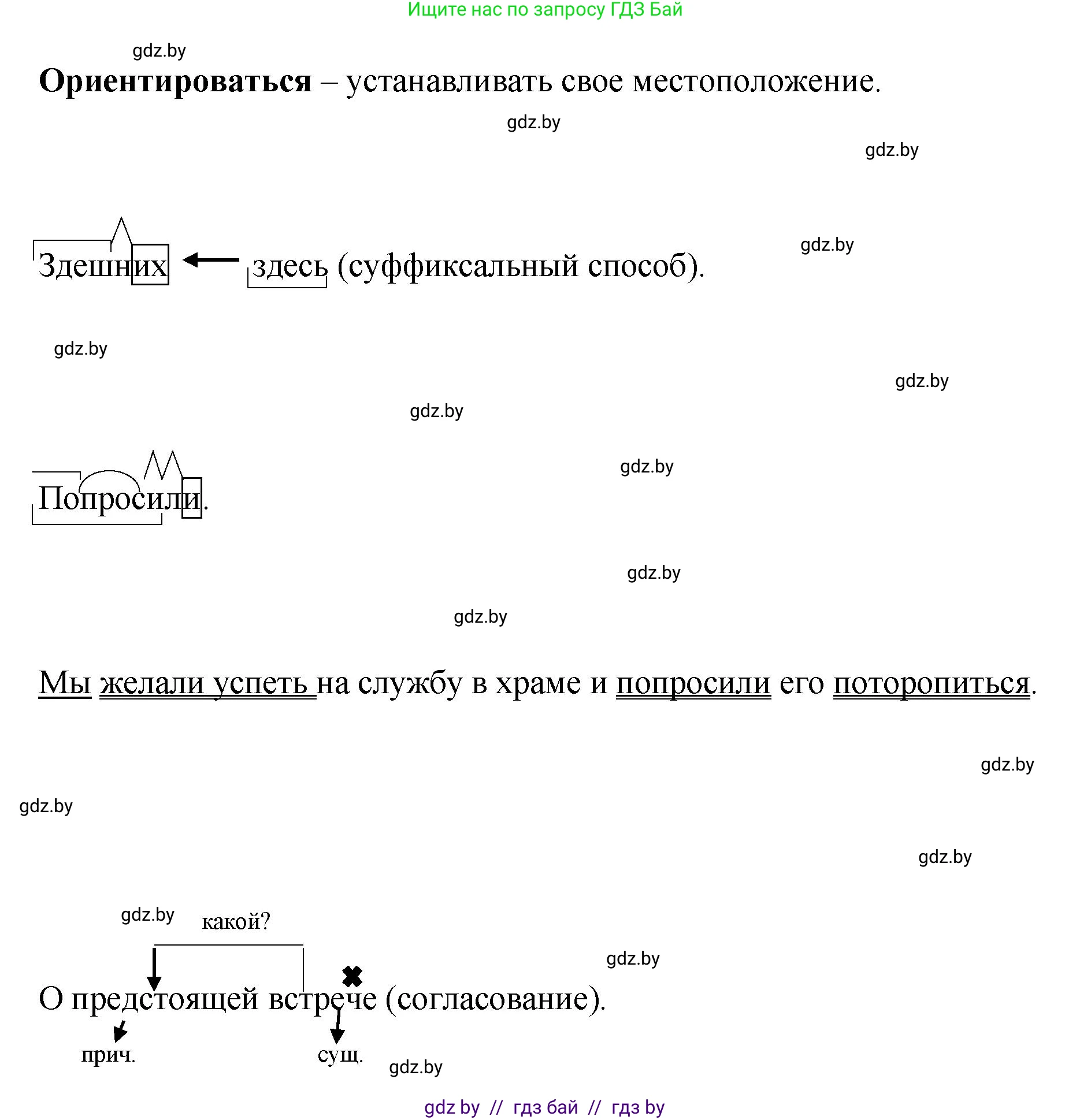 Русский язык, 8 класс Учебник, авторы: Мурина Лариса Александровна, Долбик Елена Евгеньевна, Леонович Валентина Леонидовна, Жадейко Жанна Фёдоровна, издательство Академия образования, Минск, 2024, страница 164, номер 299, Решение (продолжение 4)