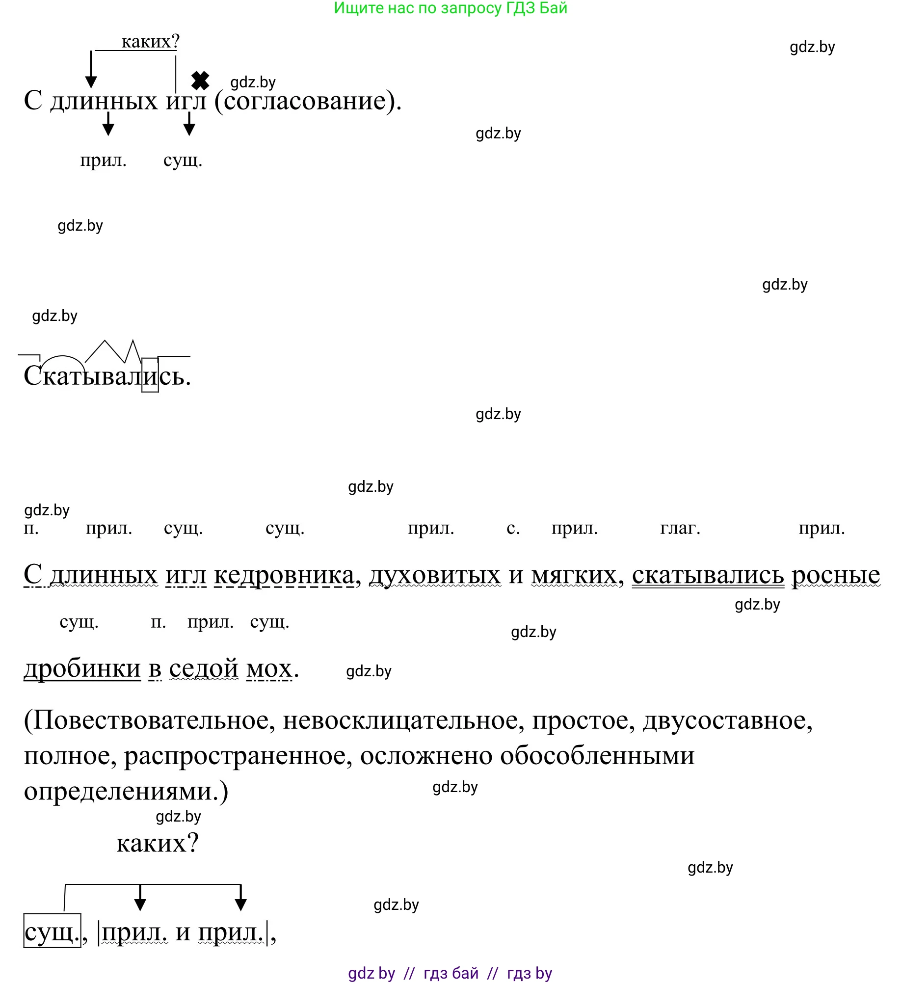 Русский язык, 8 класс Учебник, авторы: Мурина Лариса Александровна, Долбик Елена Евгеньевна, Леонович Валентина Леонидовна, Жадейко Жанна Фёдоровна, издательство Академия образования, Минск, 2024, страница 170, номер 311, Решение (продолжение 3)