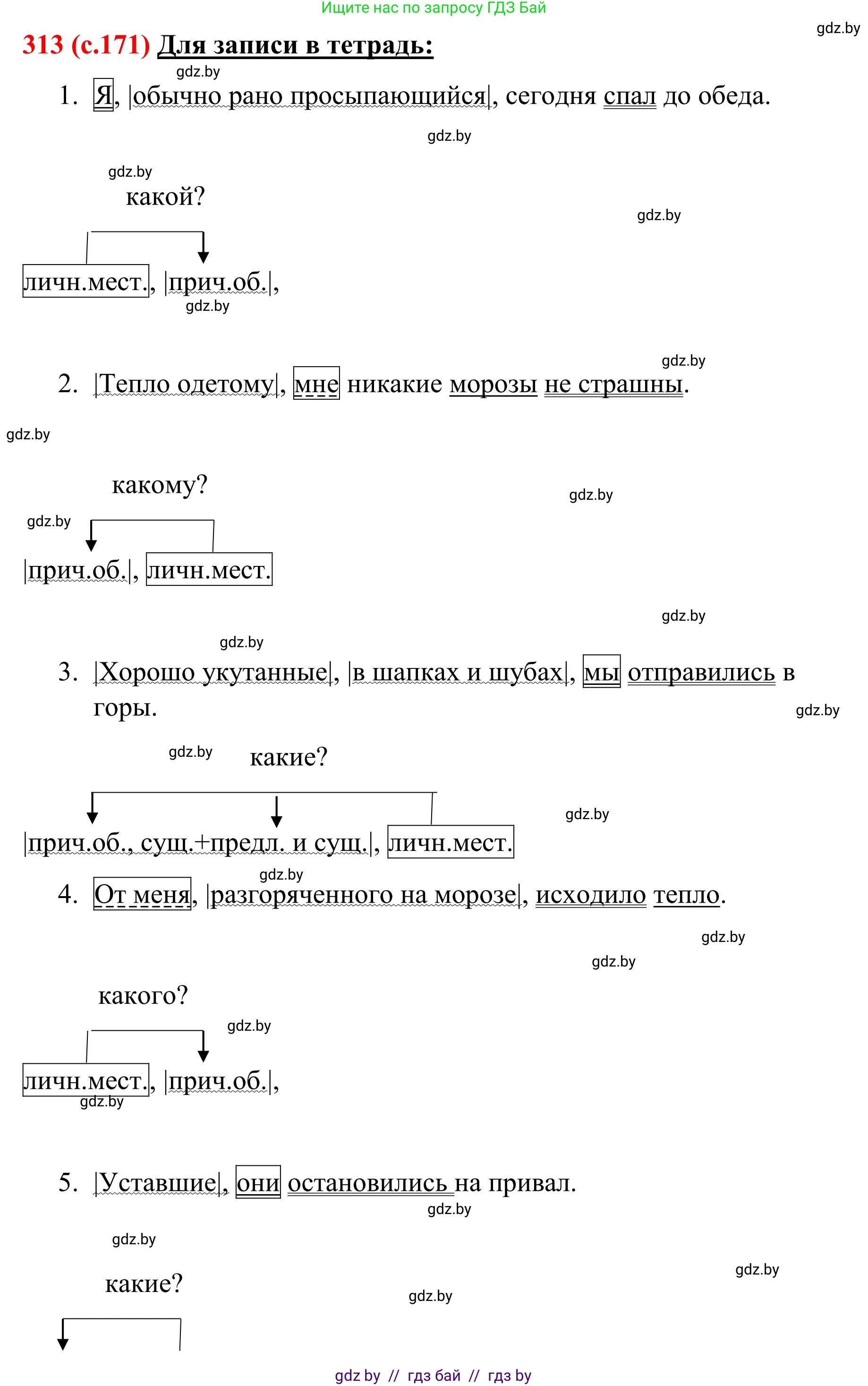 Русский язык, 8 класс Учебник, авторы: Мурина Лариса Александровна, Долбик Елена Евгеньевна, Леонович Валентина Леонидовна, Жадейко Жанна Фёдоровна, издательство Академия образования, Минск, 2024, страница 171, номер 313, Решение
