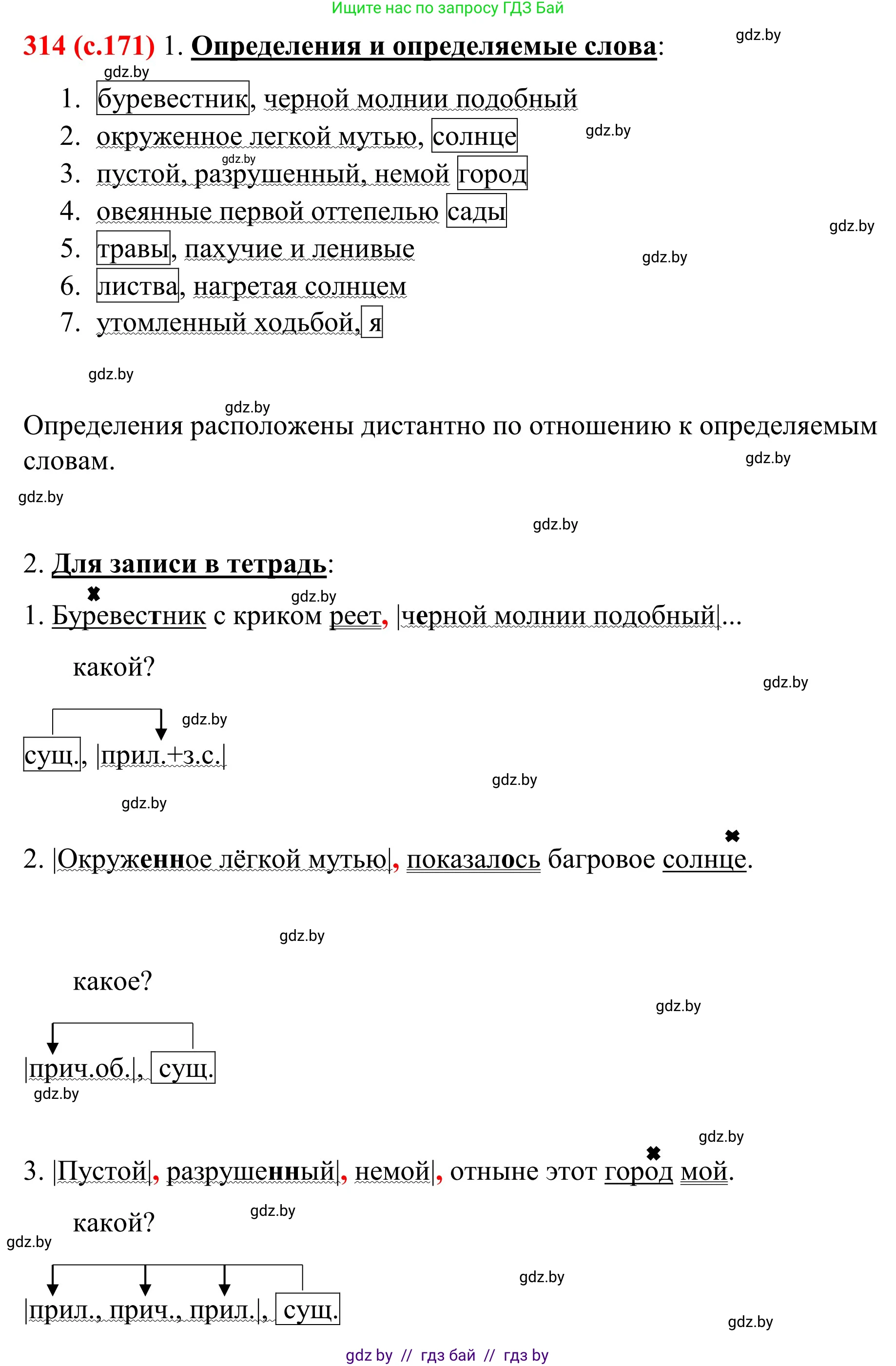 Русский язык, 8 класс Учебник, авторы: Мурина Лариса Александровна, Долбик Елена Евгеньевна, Леонович Валентина Леонидовна, Жадейко Жанна Фёдоровна, издательство Академия образования, Минск, 2024, страница 171, номер 314, Решение