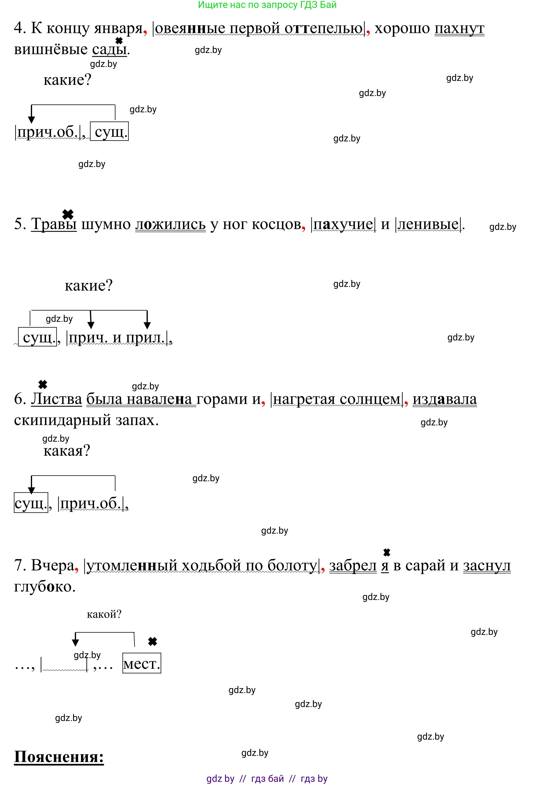 Русский язык, 8 класс Учебник, авторы: Мурина Лариса Александровна, Долбик Елена Евгеньевна, Леонович Валентина Леонидовна, Жадейко Жанна Фёдоровна, издательство Академия образования, Минск, 2024, страница 171, номер 314, Решение (продолжение 2)