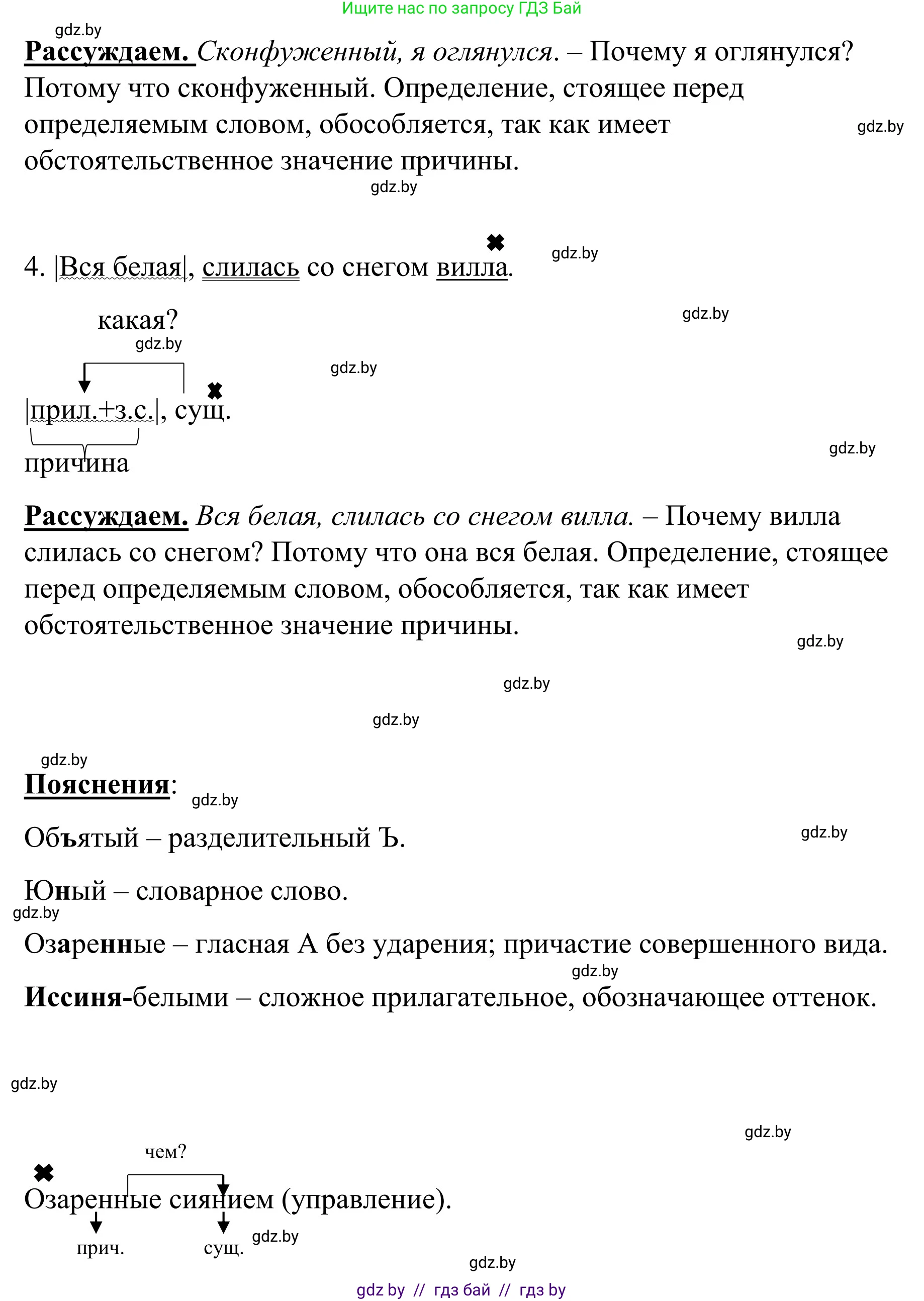 Русский язык, 8 класс Учебник, авторы: Мурина Лариса Александровна, Долбик Елена Евгеньевна, Леонович Валентина Леонидовна, Жадейко Жанна Фёдоровна, издательство Академия образования, Минск, 2024, страница 172, номер 315, Решение (продолжение 2)