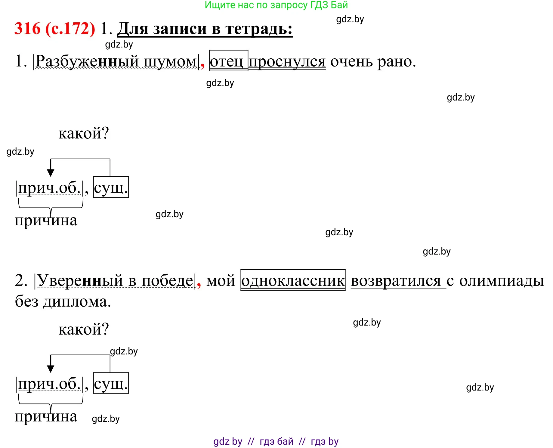 Русский язык, 8 класс Учебник, авторы: Мурина Лариса Александровна, Долбик Елена Евгеньевна, Леонович Валентина Леонидовна, Жадейко Жанна Фёдоровна, издательство Академия образования, Минск, 2024, страница 172, номер 316, Решение