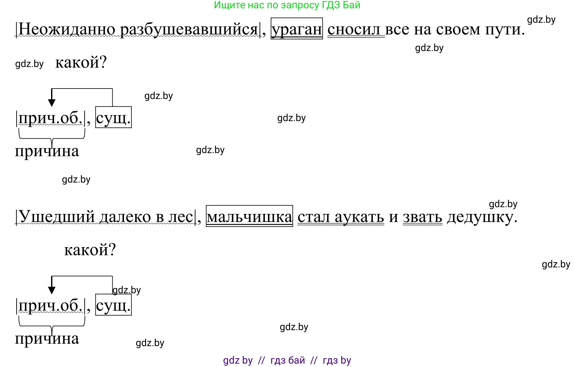 Русский язык, 8 класс Учебник, авторы: Мурина Лариса Александровна, Долбик Елена Евгеньевна, Леонович Валентина Леонидовна, Жадейко Жанна Фёдоровна, издательство Академия образования, Минск, 2024, страница 172, номер 316, Решение (продолжение 4)