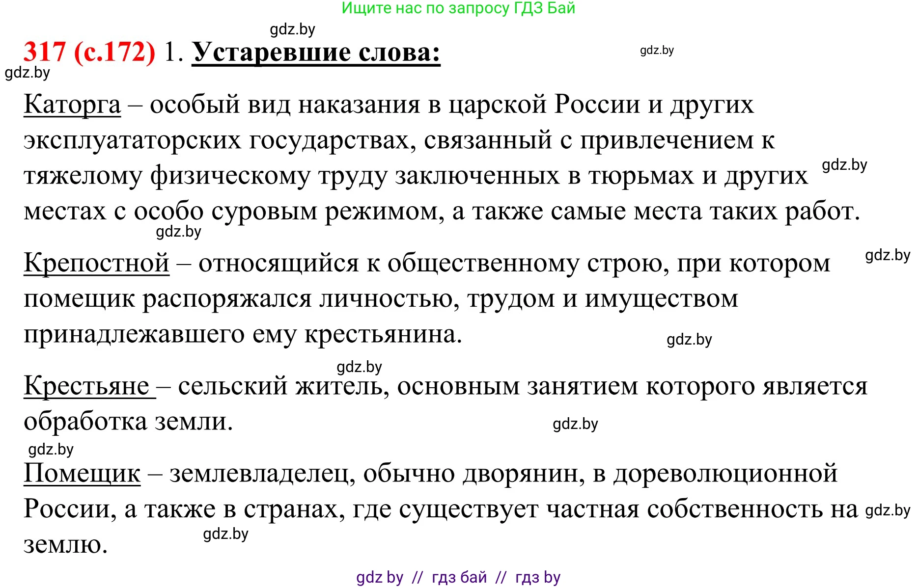 Русский язык, 8 класс Учебник, авторы: Мурина Лариса Александровна, Долбик Елена Евгеньевна, Леонович Валентина Леонидовна, Жадейко Жанна Фёдоровна, издательство Академия образования, Минск, 2024, страница 172, номер 317, Решение