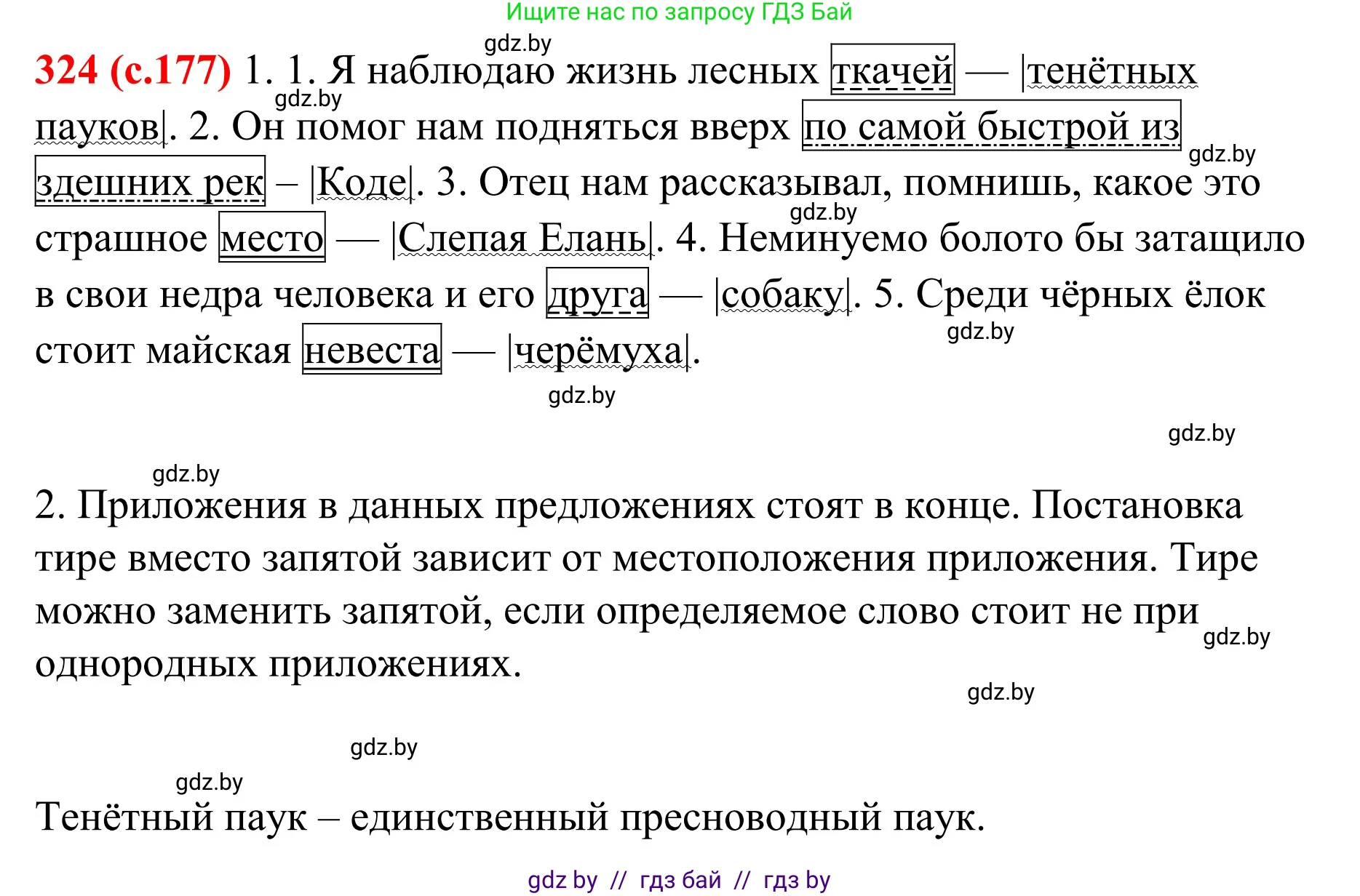 Русский язык, 8 класс Учебник, авторы: Мурина Лариса Александровна, Долбик Елена Евгеньевна, Леонович Валентина Леонидовна, Жадейко Жанна Фёдоровна, издательство Академия образования, Минск, 2024, страница 177, номер 324, Решение
