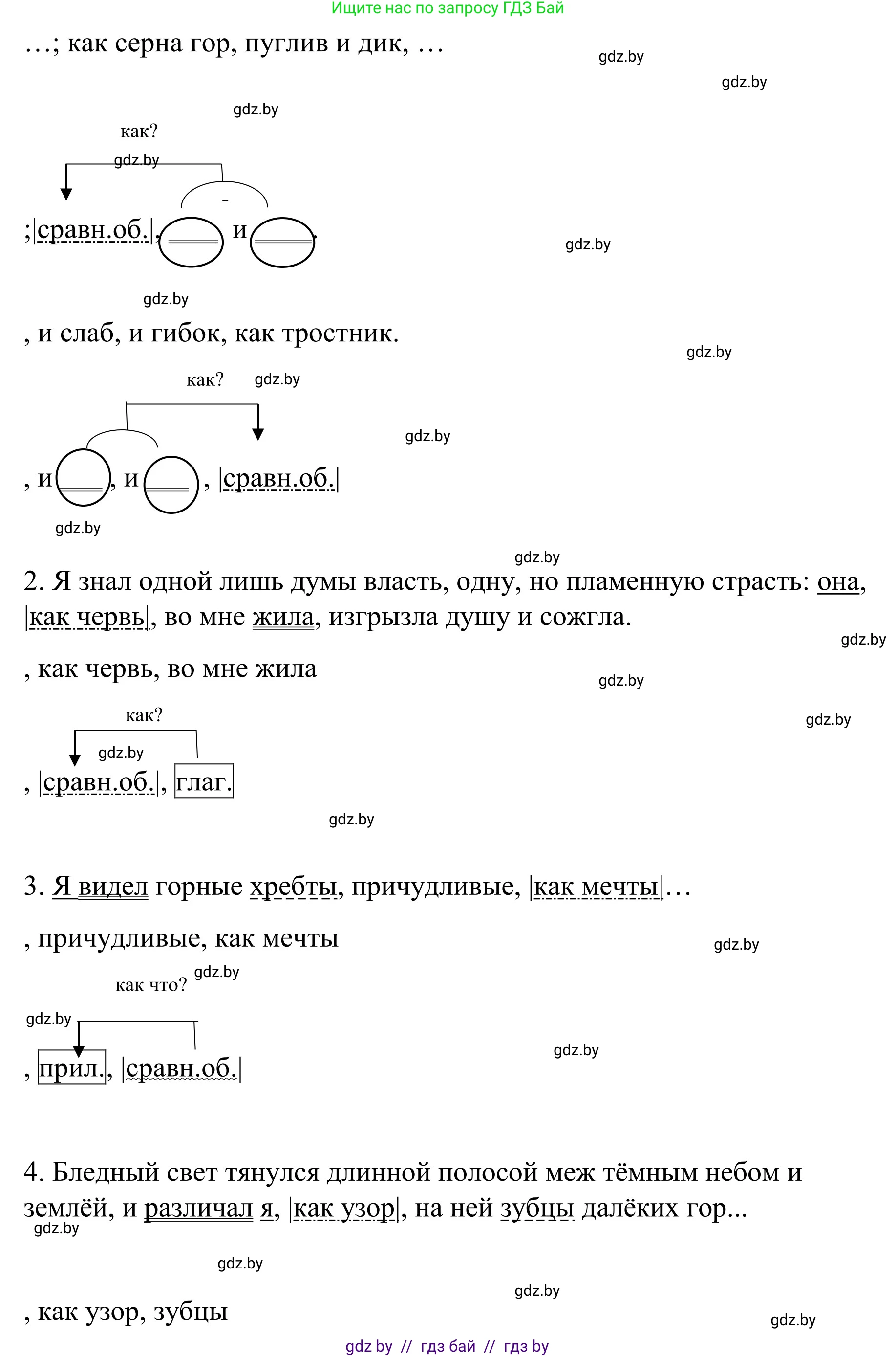 Русский язык, 8 класс Учебник, авторы: Мурина Лариса Александровна, Долбик Елена Евгеньевна, Леонович Валентина Леонидовна, Жадейко Жанна Фёдоровна, издательство Академия образования, Минск, 2024, страница 193, номер 351, Решение (продолжение 2)