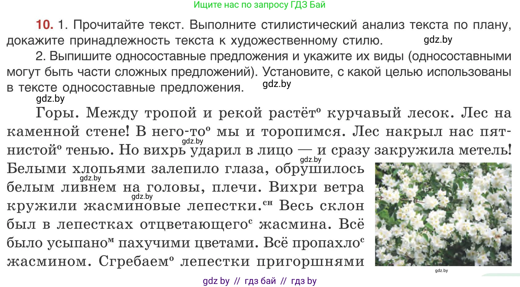 Русский язык, 9 класс Учебник, авторы: Мурина Лариса Александровна, Литвинко Франя Михайловна, Долбик Елена Евгеньевна, Пипченко Н М, Германович С Ф, Таяновская И В, издательство Академия образования, Минск, 2025, страница 11, номер 10, Условие 2025