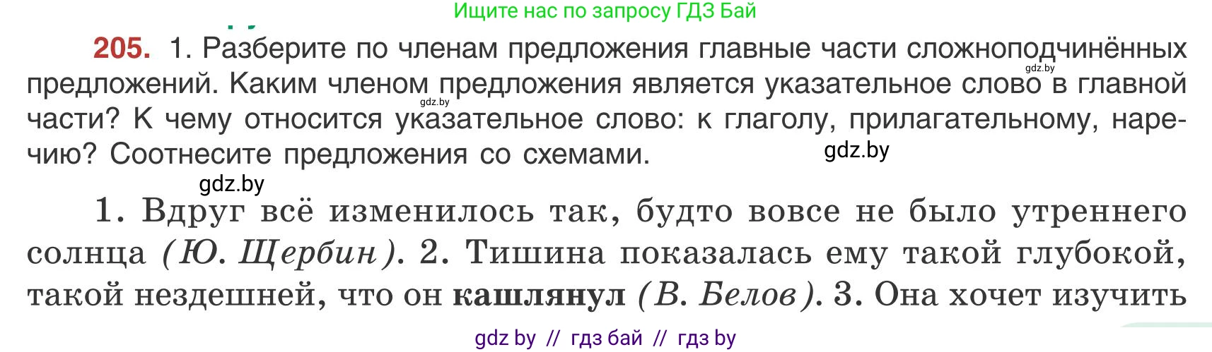 Русский язык, 9 класс Учебник, авторы: Мурина Лариса Александровна, Литвинко Франя Михайловна, Долбик Елена Евгеньевна, Пипченко Н М, Германович С Ф, Таяновская И В, издательство Академия образования, Минск, 2025, страница 115, номер 205, Условие 2025