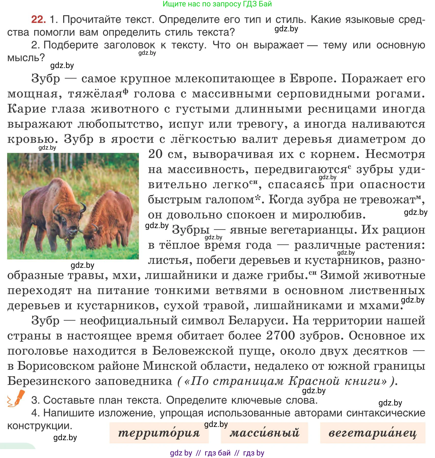Русский язык, 9 класс Учебник, авторы: Мурина Лариса Александровна, Литвинко Франя Михайловна, Долбик Елена Евгеньевна, Пипченко Н М, Германович С Ф, Таяновская И В, издательство Академия образования, Минск, 2025, страница 18, номер 22, Условие 2025