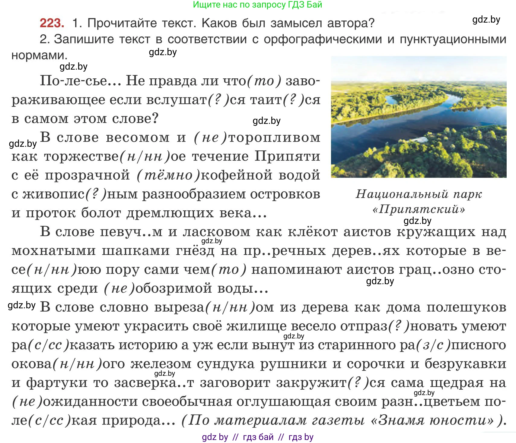Русский язык, 9 класс Учебник, авторы: Мурина Лариса Александровна, Литвинко Франя Михайловна, Долбик Елена Евгеньевна, Пипченко Н М, Германович С Ф, Таяновская И В, издательство Академия образования, Минск, 2025, страница 123, номер 223, Условие 2025