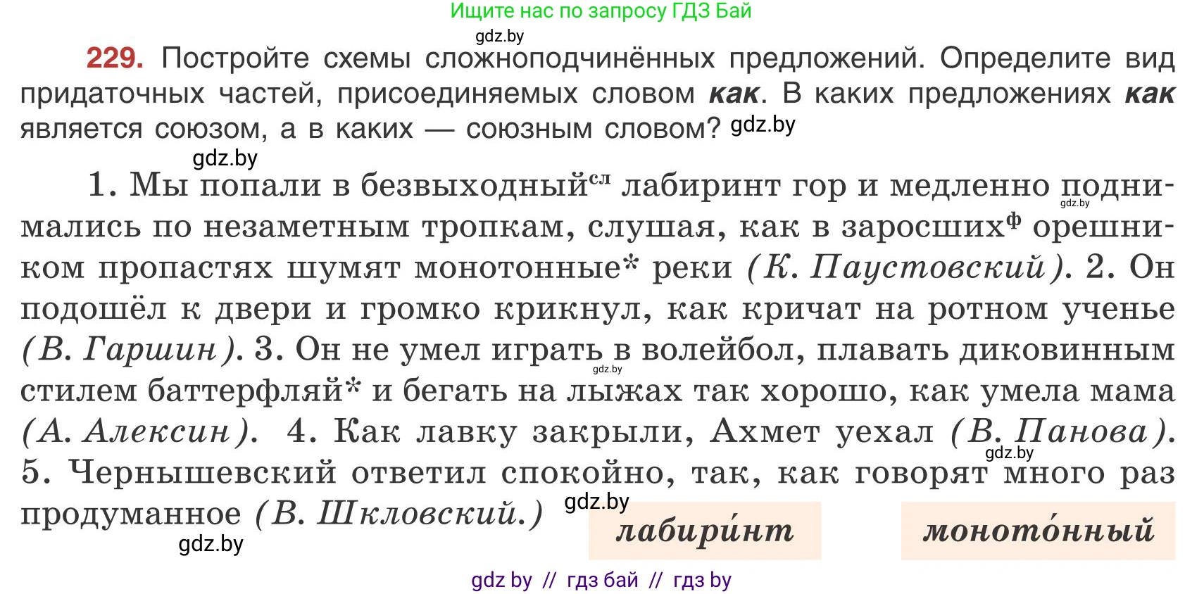 Русский язык, 9 класс Учебник, авторы: Мурина Лариса Александровна, Литвинко Франя Михайловна, Долбик Елена Евгеньевна, Пипченко Н М, Германович С Ф, Таяновская И В, издательство Академия образования, Минск, 2025, страница 126, номер 229, Условие 2025