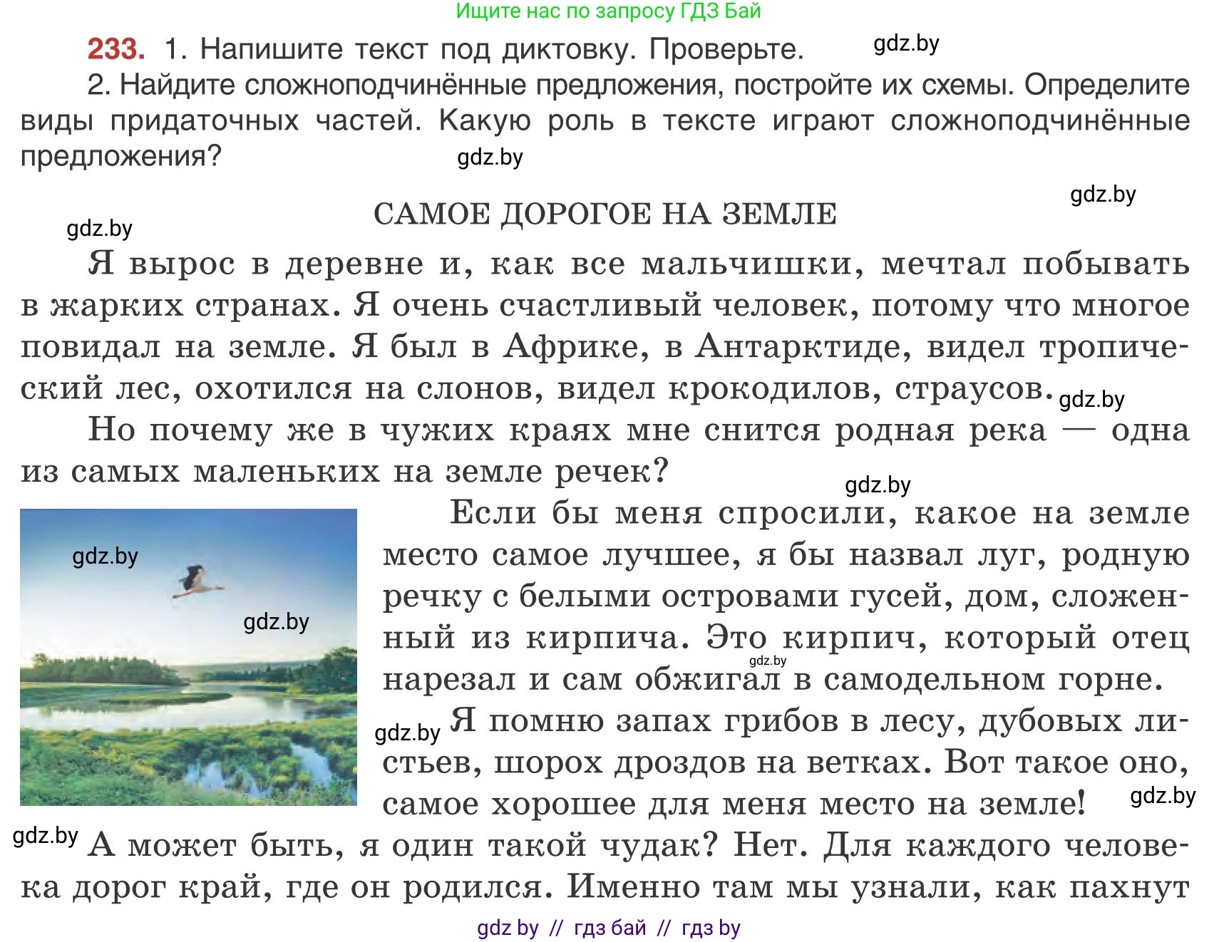 Русский язык, 9 класс Учебник, авторы: Мурина Лариса Александровна, Литвинко Франя Михайловна, Долбик Елена Евгеньевна, Пипченко Н М, Германович С Ф, Таяновская И В, издательство Академия образования, Минск, 2025, страница 128, номер 233, Условие 2025