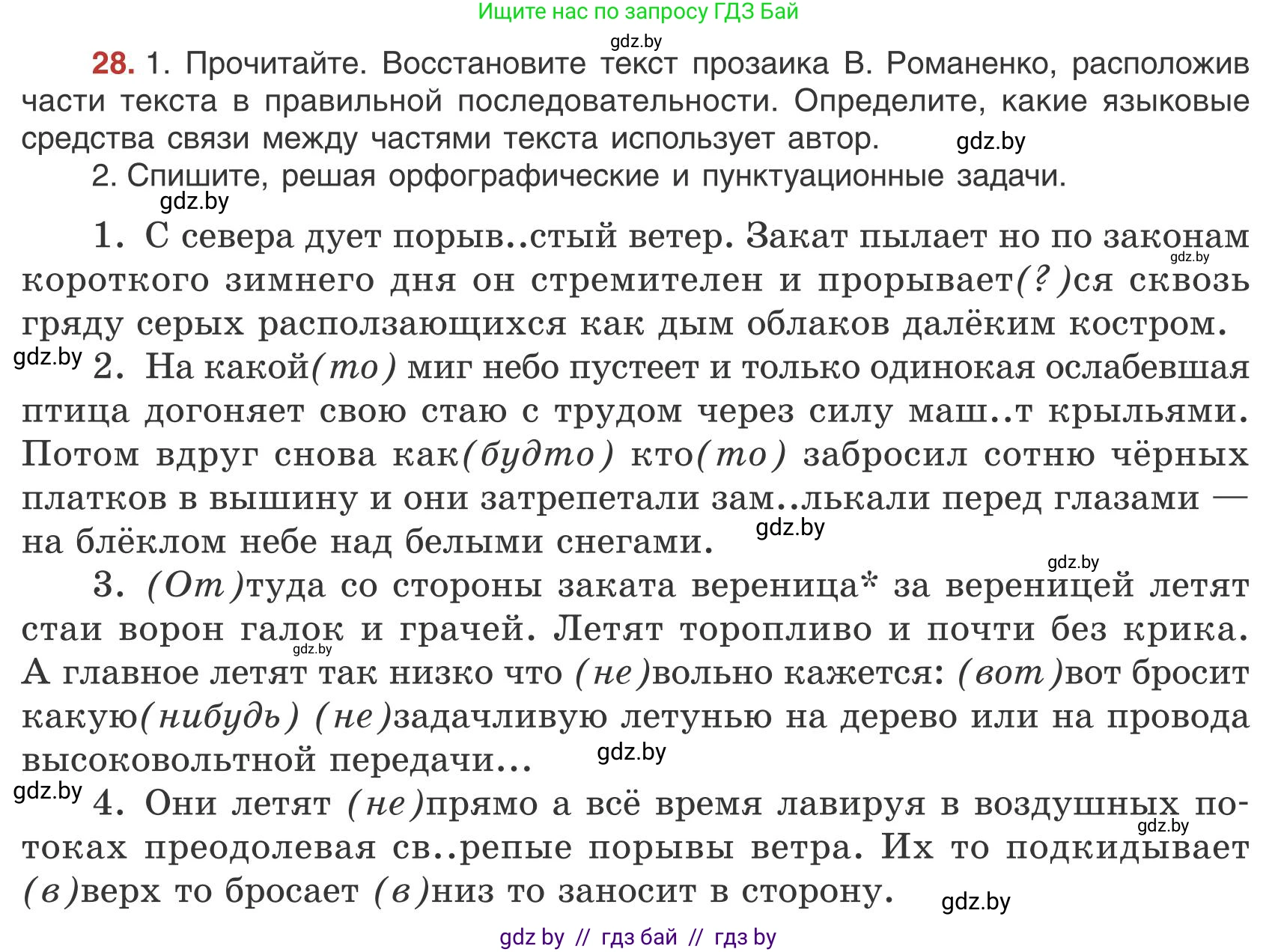 Русский язык, 9 класс Учебник, авторы: Мурина Лариса Александровна, Литвинко Франя Михайловна, Долбик Елена Евгеньевна, Пипченко Н М, Германович С Ф, Таяновская И В, издательство Академия образования, Минск, 2025, страница 22, номер 28, Условие 2025