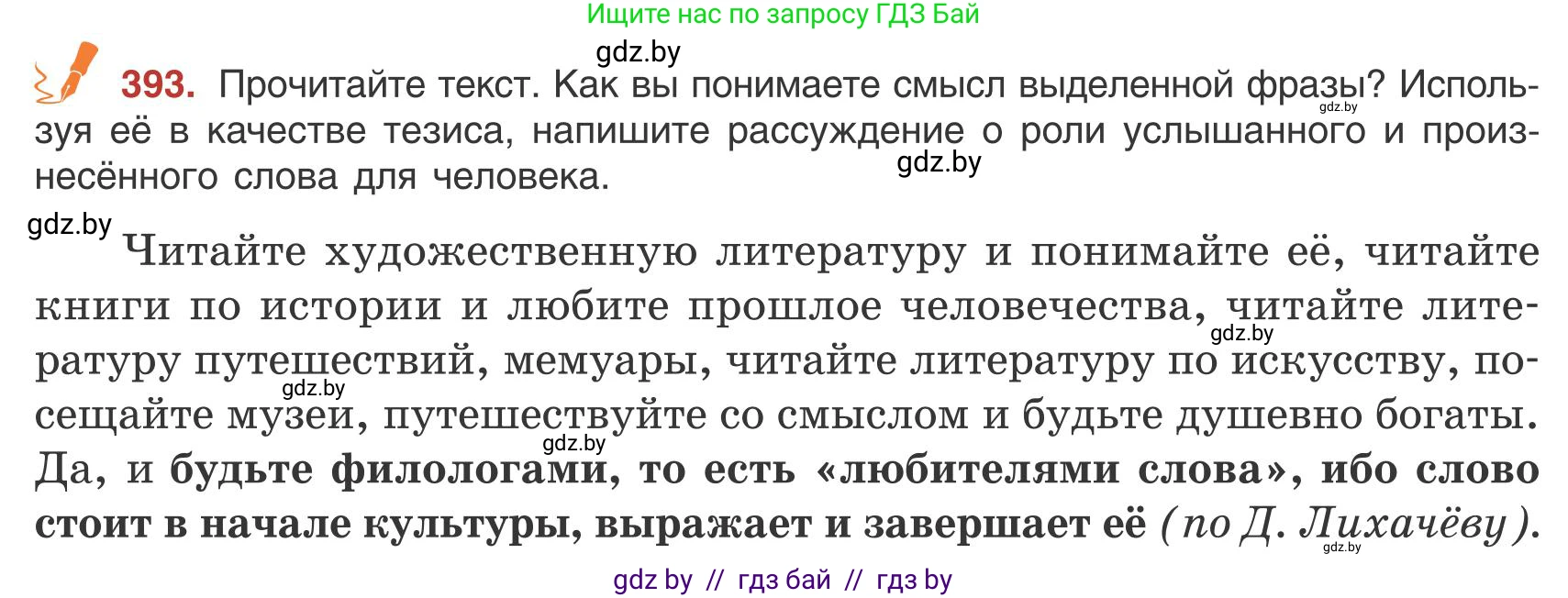 Русский язык, 9 класс Учебник, авторы: Мурина Лариса Александровна, Литвинко Франя Михайловна, Долбик Елена Евгеньевна, Пипченко Н М, Германович С Ф, Таяновская И В, издательство Академия образования, Минск, 2025, страница 223, номер 393, Условие 2025