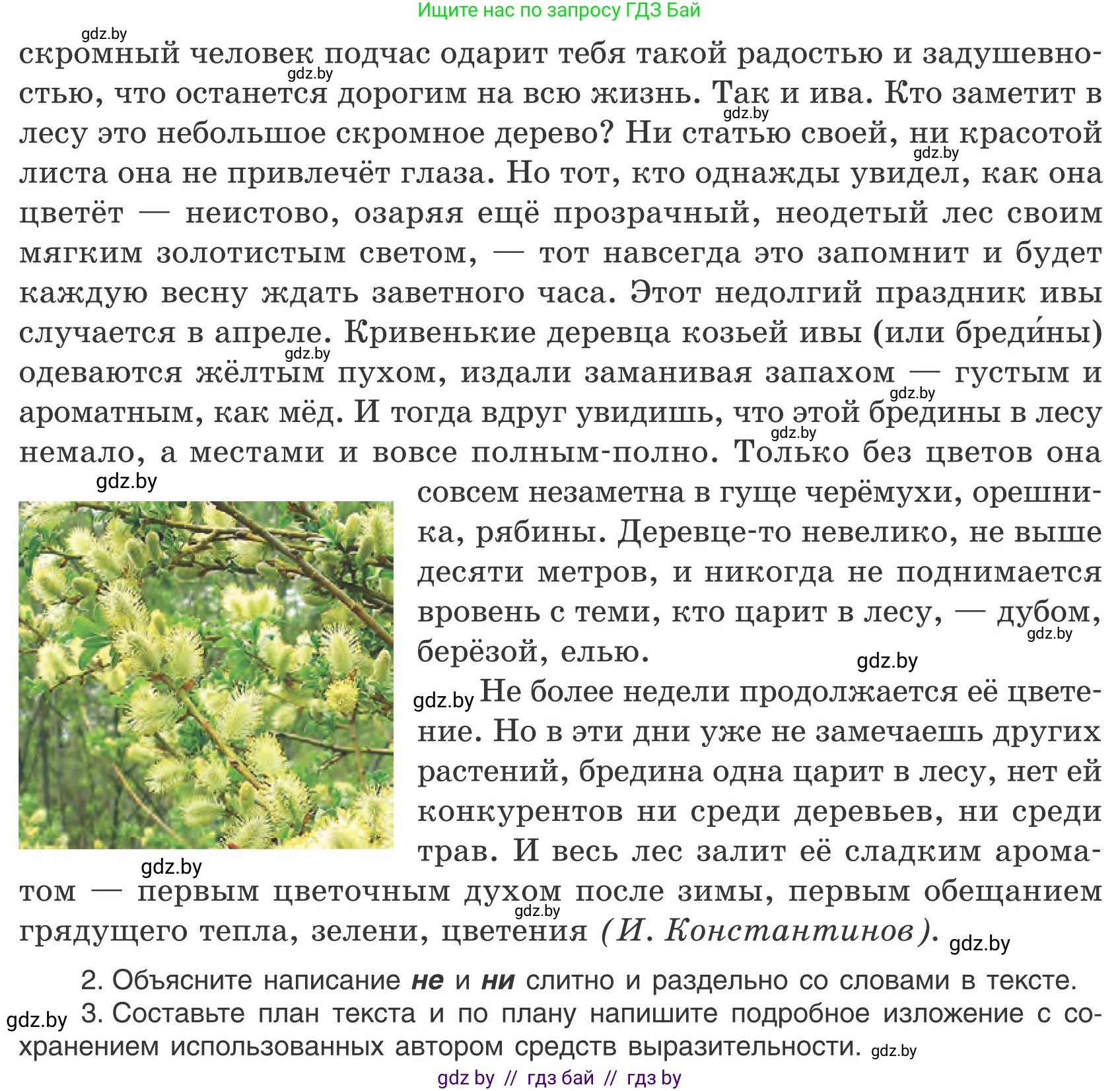 Русский язык, 9 класс Учебник, авторы: Мурина Лариса Александровна, Литвинко Франя Михайловна, Долбик Елена Евгеньевна, Пипченко Н М, Германович С Ф, Таяновская И В, издательство Академия образования, Минск, 2025, страница 33, номер 42, Условие 2025 (продолжение 2)