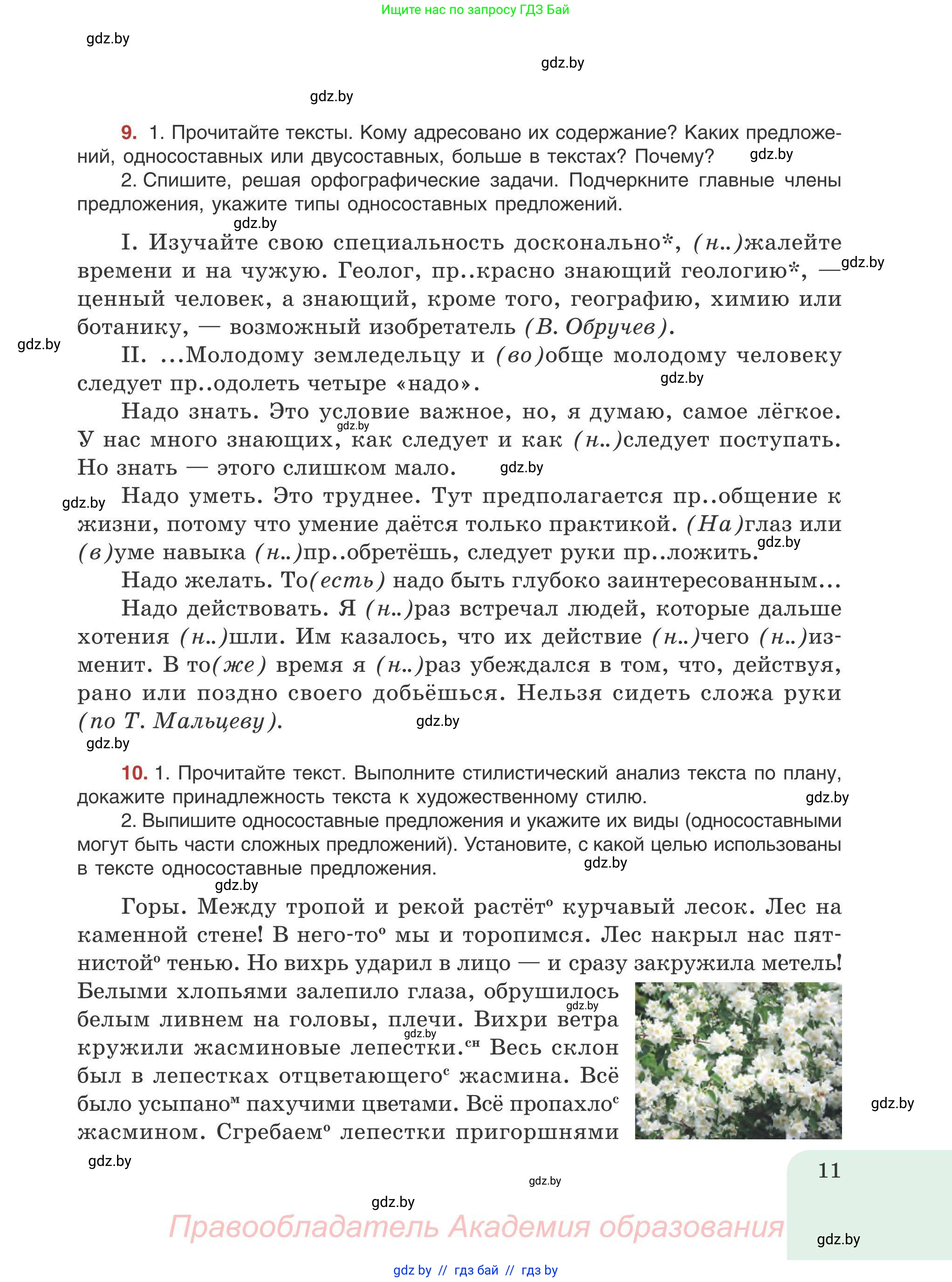 Русский язык, 9 класс Учебник, авторы: Мурина Лариса Александровна, Литвинко Франя Михайловна, Долбик Елена Евгеньевна, Пипченко Н М, Германович С Ф, Таяновская И В, издательство Академия образования, Минск, 2025, страница 11