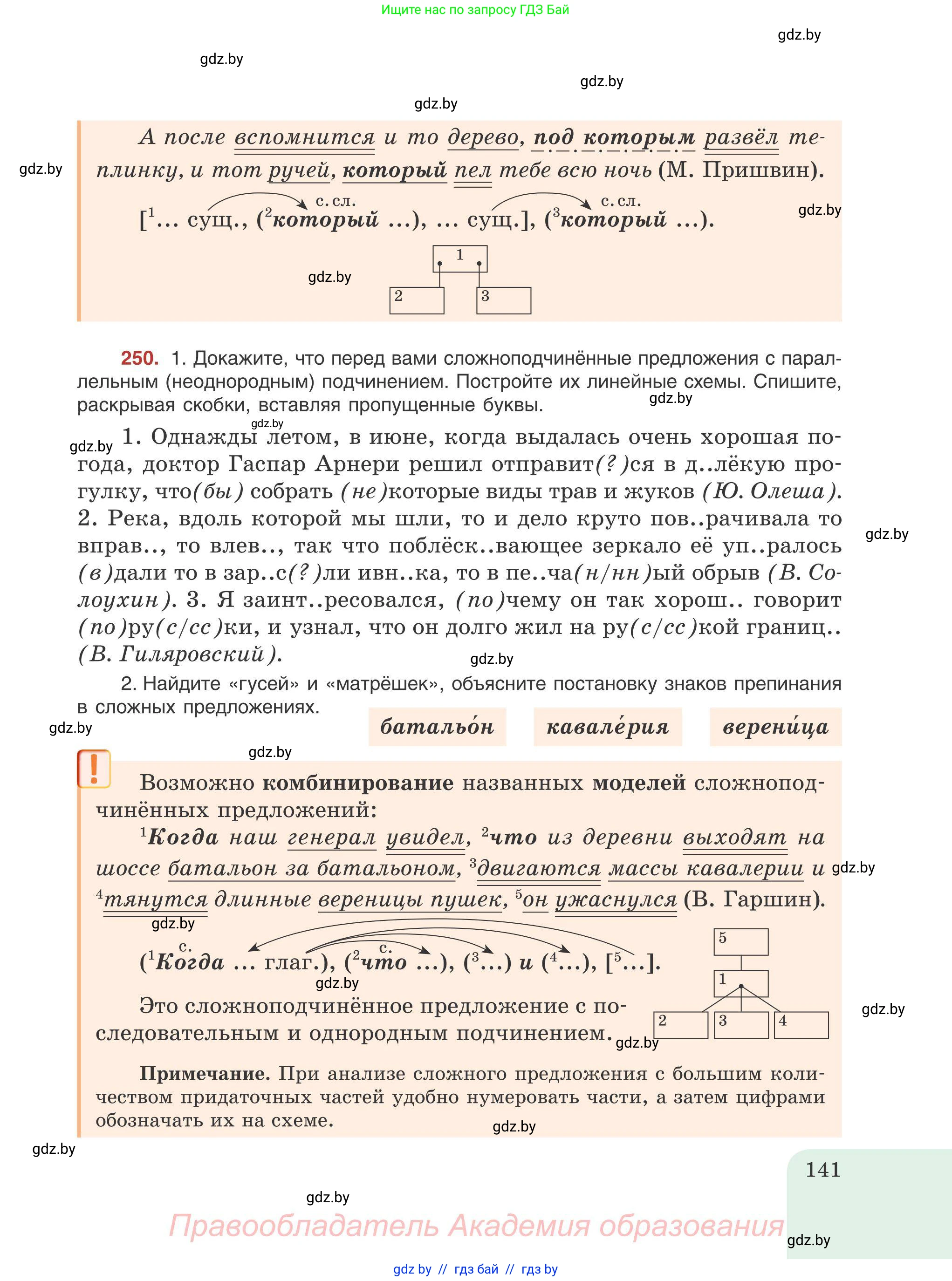Русский язык, 9 класс Учебник, авторы: Мурина Лариса Александровна, Литвинко Франя Михайловна, Долбик Елена Евгеньевна, Пипченко Н М, Германович С Ф, Таяновская И В, издательство Академия образования, Минск, 2025, страница 141