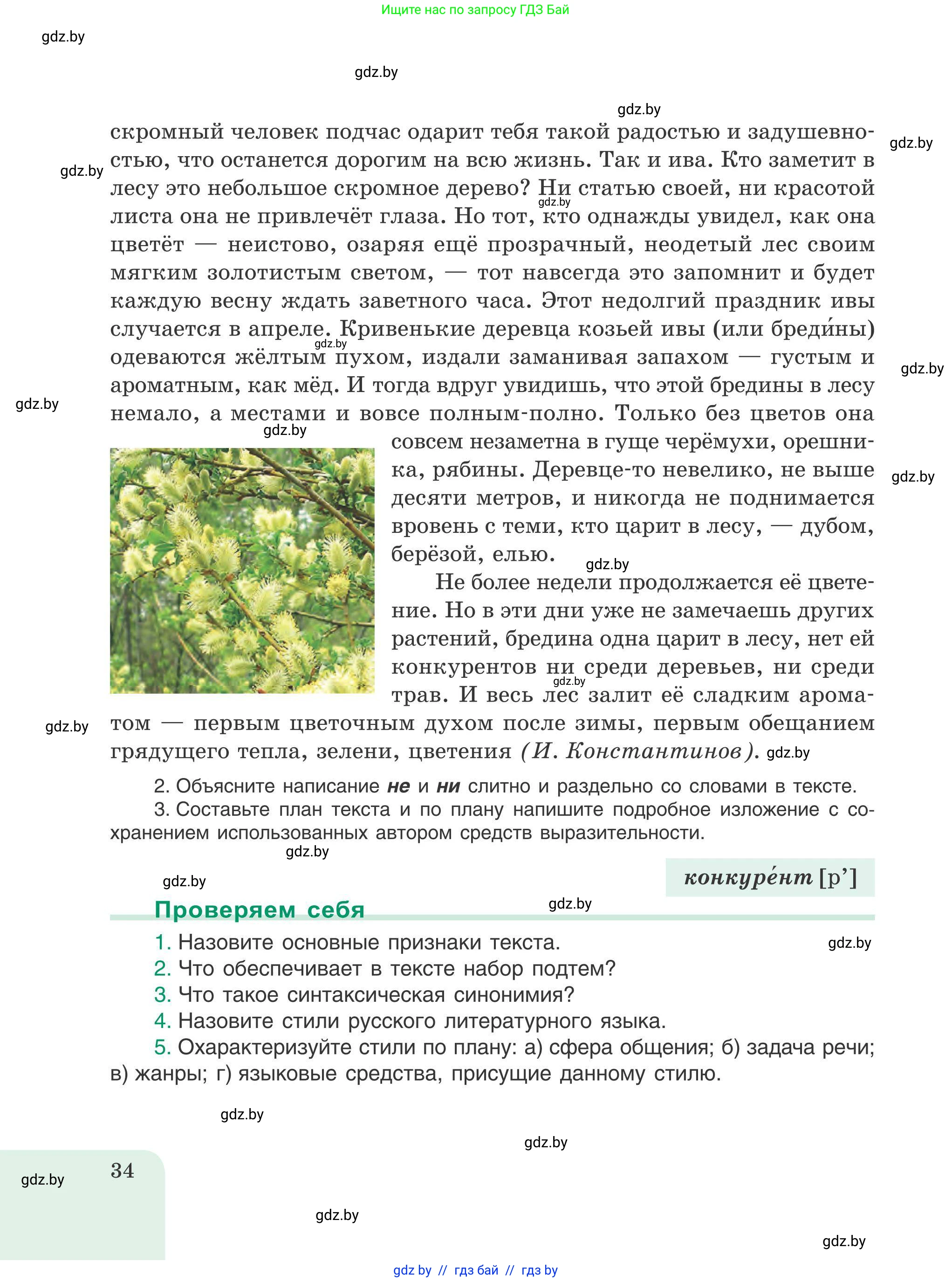 Русский язык, 9 класс Учебник, авторы: Мурина Лариса Александровна, Литвинко Франя Михайловна, Долбик Елена Евгеньевна, Пипченко Н М, Германович С Ф, Таяновская И В, издательство Академия образования, Минск, 2025, страница 34