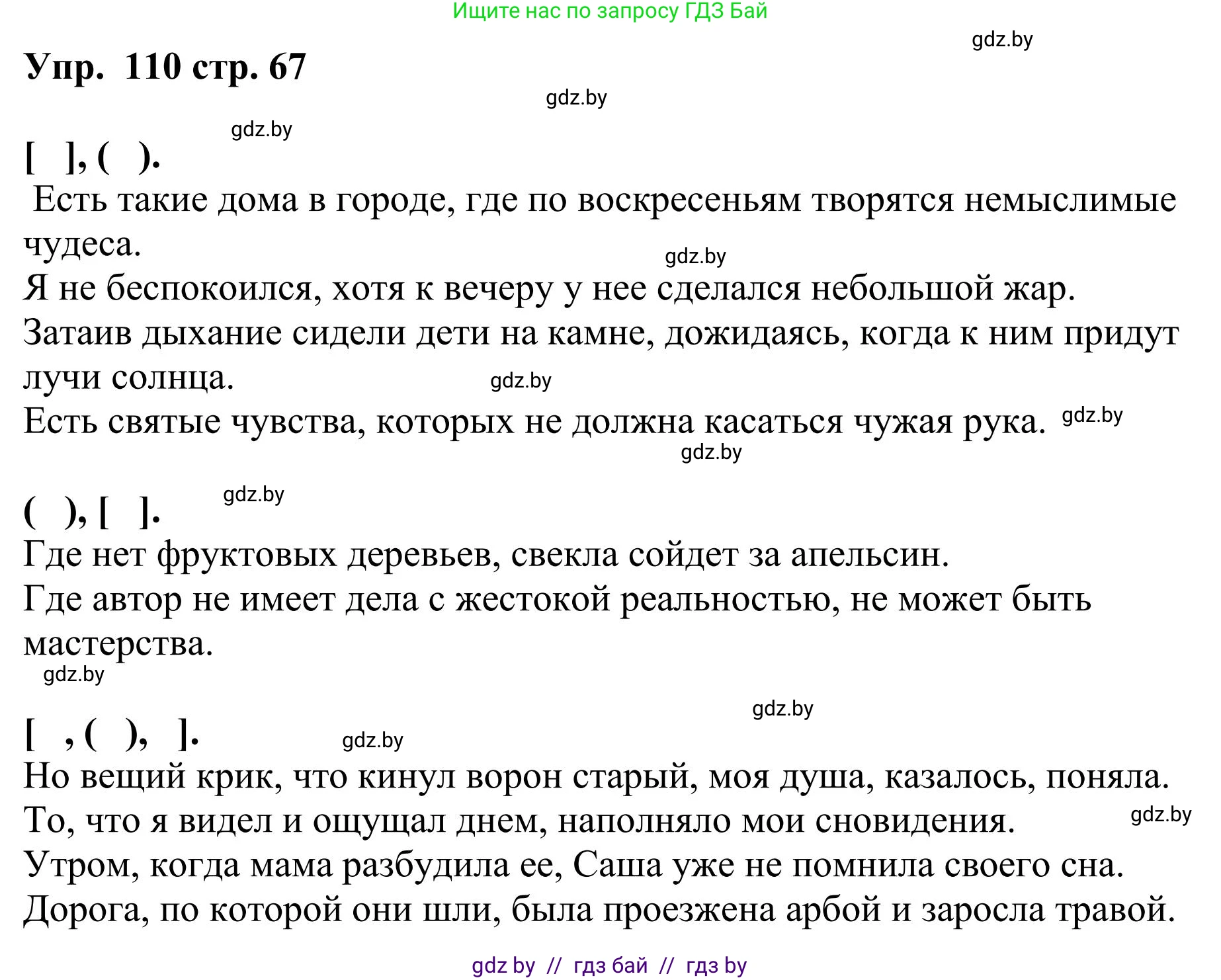 Русский язык, 9 класс Учебник, авторы: Мурина Лариса Александровна, Литвинко Франя Михайловна, Долбик Елена Евгеньевна, Пипченко Н М, Германович С Ф, Таяновская И В, издательство Академия образования, Минск, 2025, страница 67, номер 110, Решение 2025
