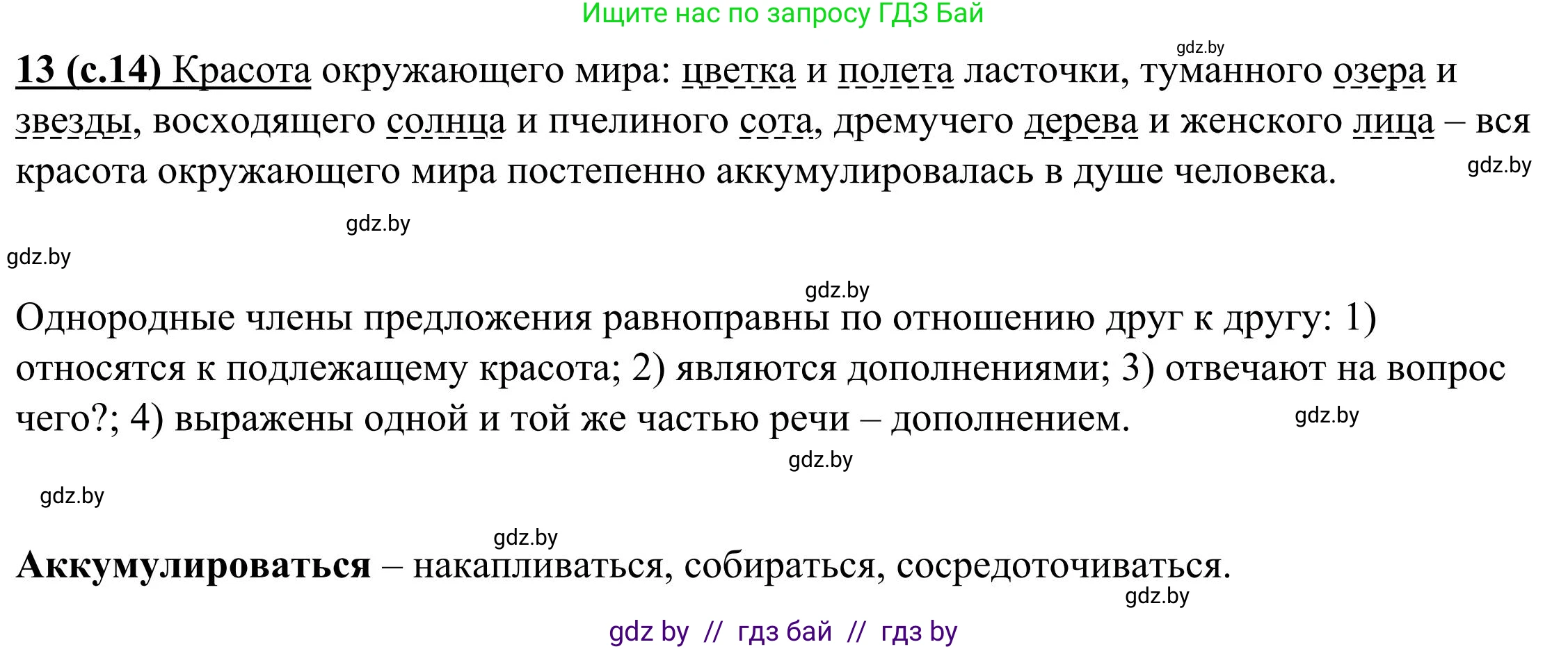 Русский язык, 9 класс Учебник, авторы: Мурина Лариса Александровна, Литвинко Франя Михайловна, Долбик Елена Евгеньевна, Пипченко Н М, Германович С Ф, Таяновская И В, издательство Академия образования, Минск, 2025, страница 14, номер 13, Решение 2025
