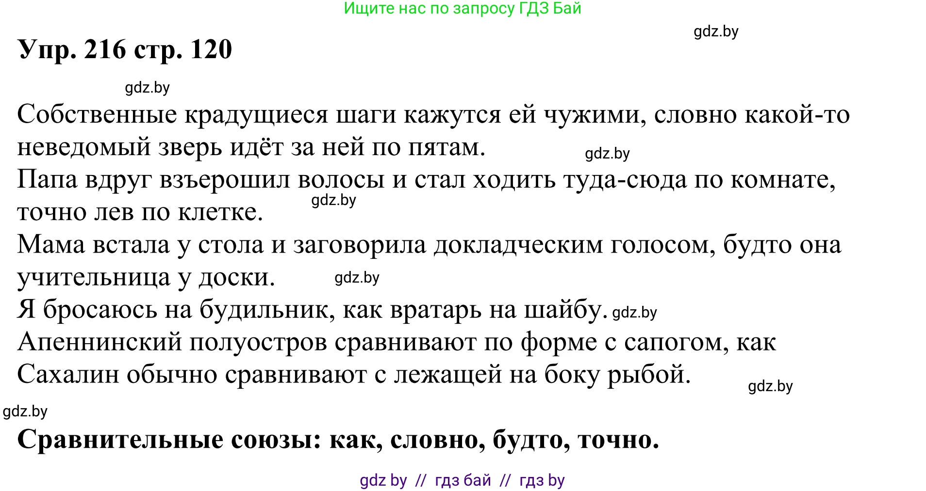 Русский язык, 9 класс Учебник, авторы: Мурина Лариса Александровна, Литвинко Франя Михайловна, Долбик Елена Евгеньевна, Пипченко Н М, Германович С Ф, Таяновская И В, издательство Академия образования, Минск, 2025, страница 120, номер 216, Решение 2025