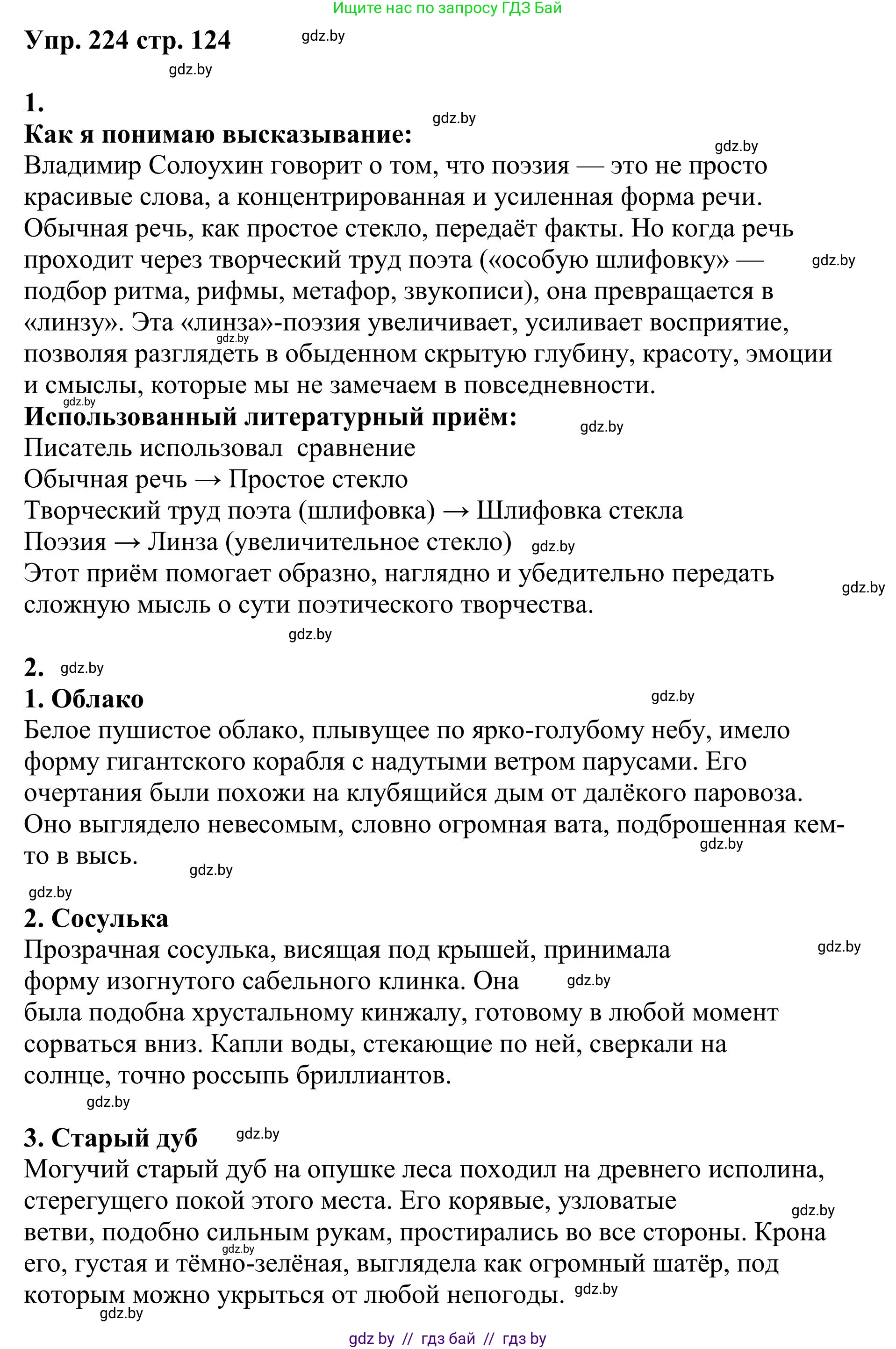 Русский язык, 9 класс Учебник, авторы: Мурина Лариса Александровна, Литвинко Франя Михайловна, Долбик Елена Евгеньевна, Пипченко Н М, Германович С Ф, Таяновская И В, издательство Академия образования, Минск, 2025, страница 124, номер 224, Решение 2025