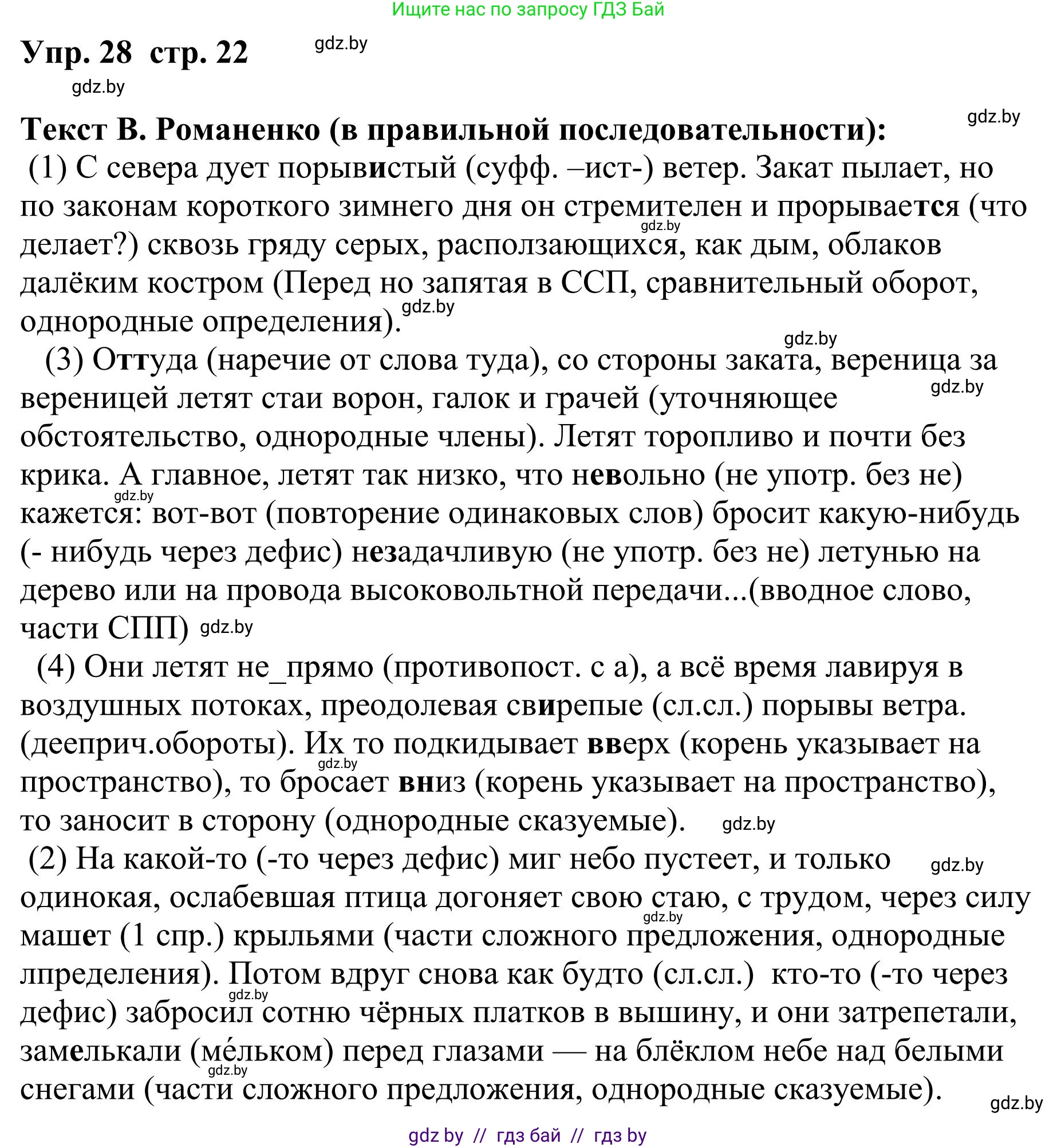 Русский язык, 9 класс Учебник, авторы: Мурина Лариса Александровна, Литвинко Франя Михайловна, Долбик Елена Евгеньевна, Пипченко Н М, Германович С Ф, Таяновская И В, издательство Академия образования, Минск, 2025, страница 22, номер 28, Решение 2025
