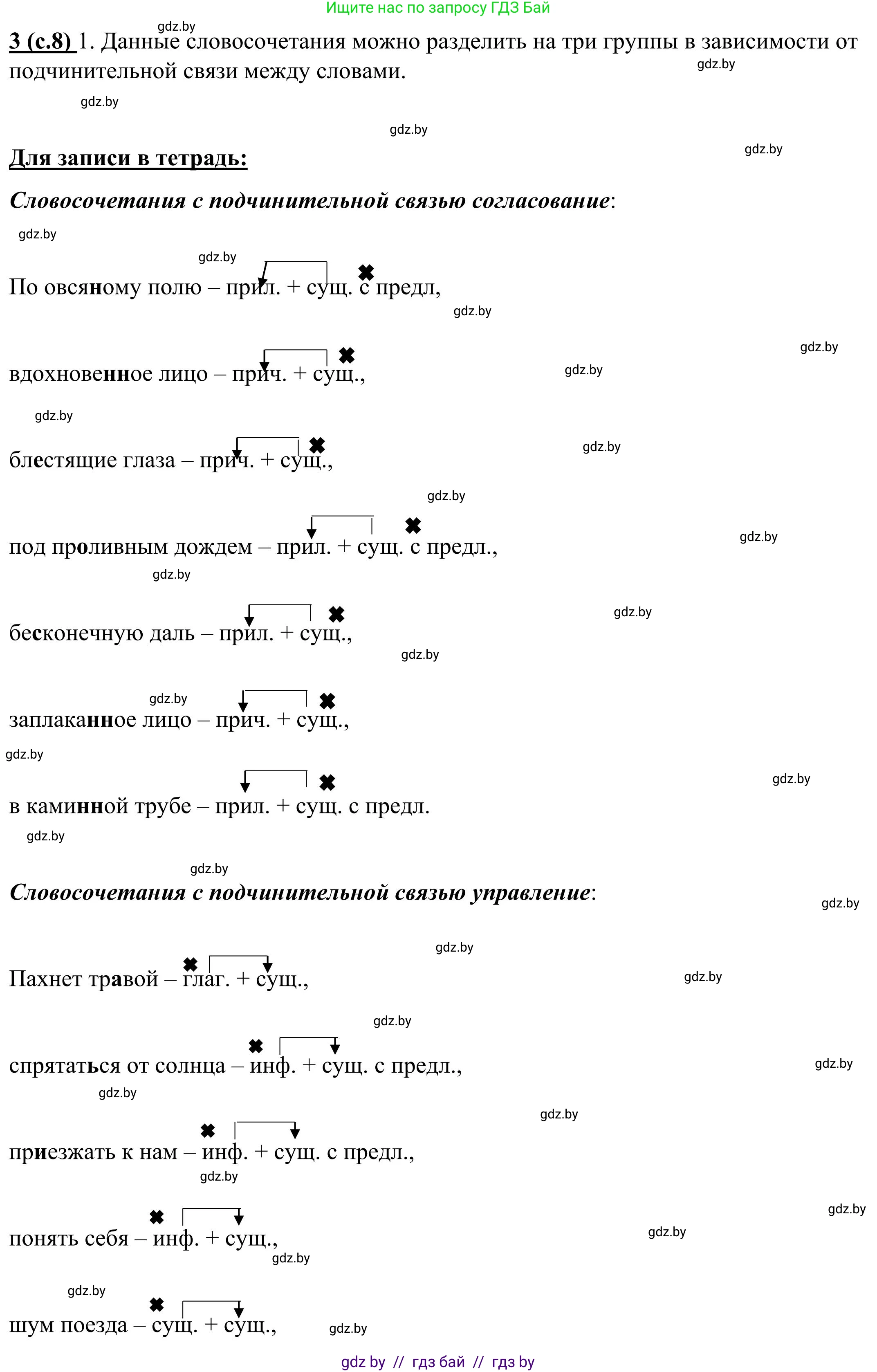 Русский язык, 9 класс Учебник, авторы: Мурина Лариса Александровна, Литвинко Франя Михайловна, Долбик Елена Евгеньевна, Пипченко Н М, Германович С Ф, Таяновская И В, издательство Академия образования, Минск, 2025, страница 8, номер 3, Решение 2025
