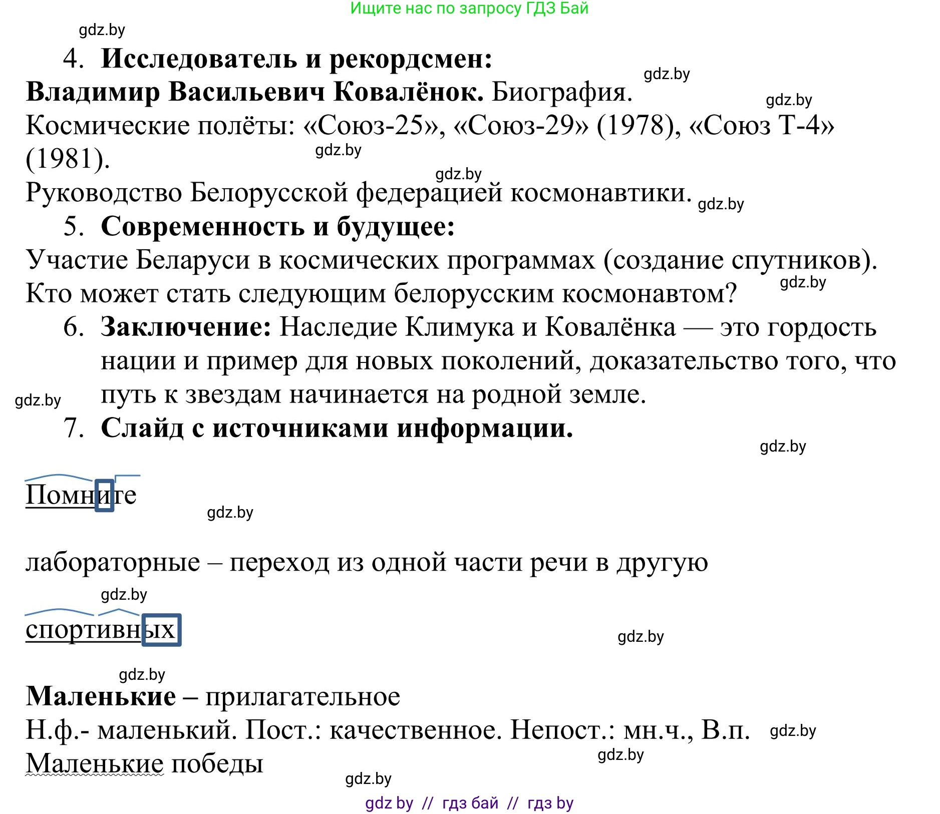 Русский язык, 9 класс Учебник, авторы: Мурина Лариса Александровна, Литвинко Франя Михайловна, Долбик Елена Евгеньевна, Пипченко Н М, Германович С Ф, Таяновская И В, издательство Академия образования, Минск, 2025, страница 216, номер 379, Решение 2025 (продолжение 3)