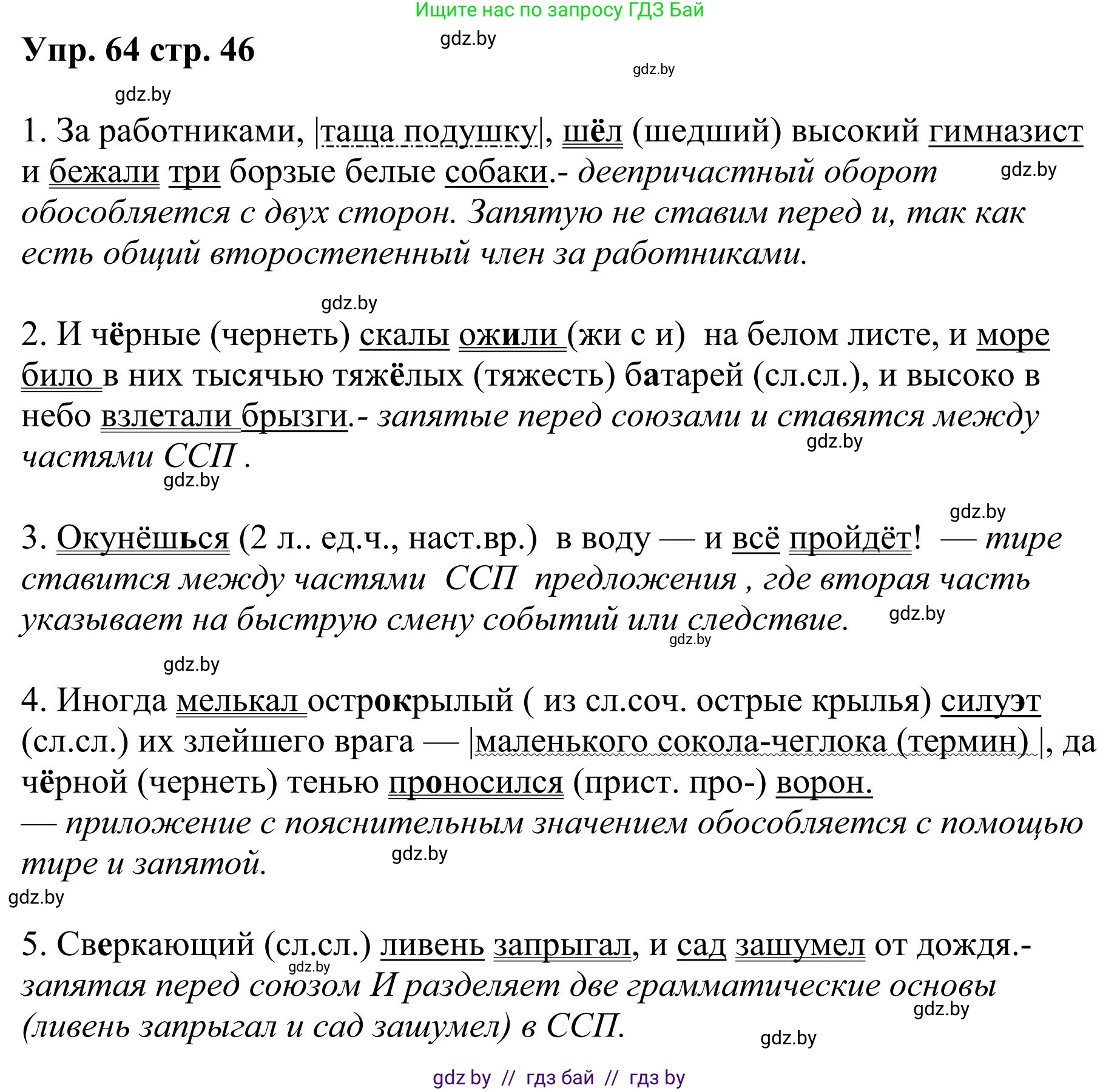 Русский язык, 9 класс Учебник, авторы: Мурина Лариса Александровна, Литвинко Франя Михайловна, Долбик Елена Евгеньевна, Пипченко Н М, Германович С Ф, Таяновская И В, издательство Академия образования, Минск, 2025, страница 46, номер 64, Решение 2025