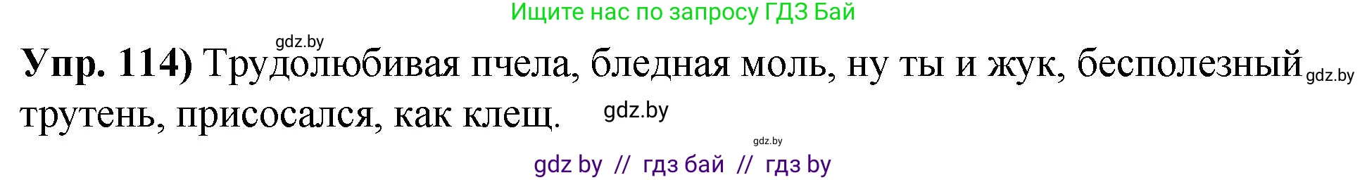Русский язык, 10 класс Учебник, авторы: Леонович Валентина Леонидовна, Саникович Валентина Александровна, Литвинко Франя Михайловна, Волынец Татьяна Николаевна, Долбик Елена Евгеньевна, Малецкая М И, Мурина Лариса Александровна, Таяновская И В, издательство Национальный институт образования, Минск, 2020, страница 73, номер 114, Решение