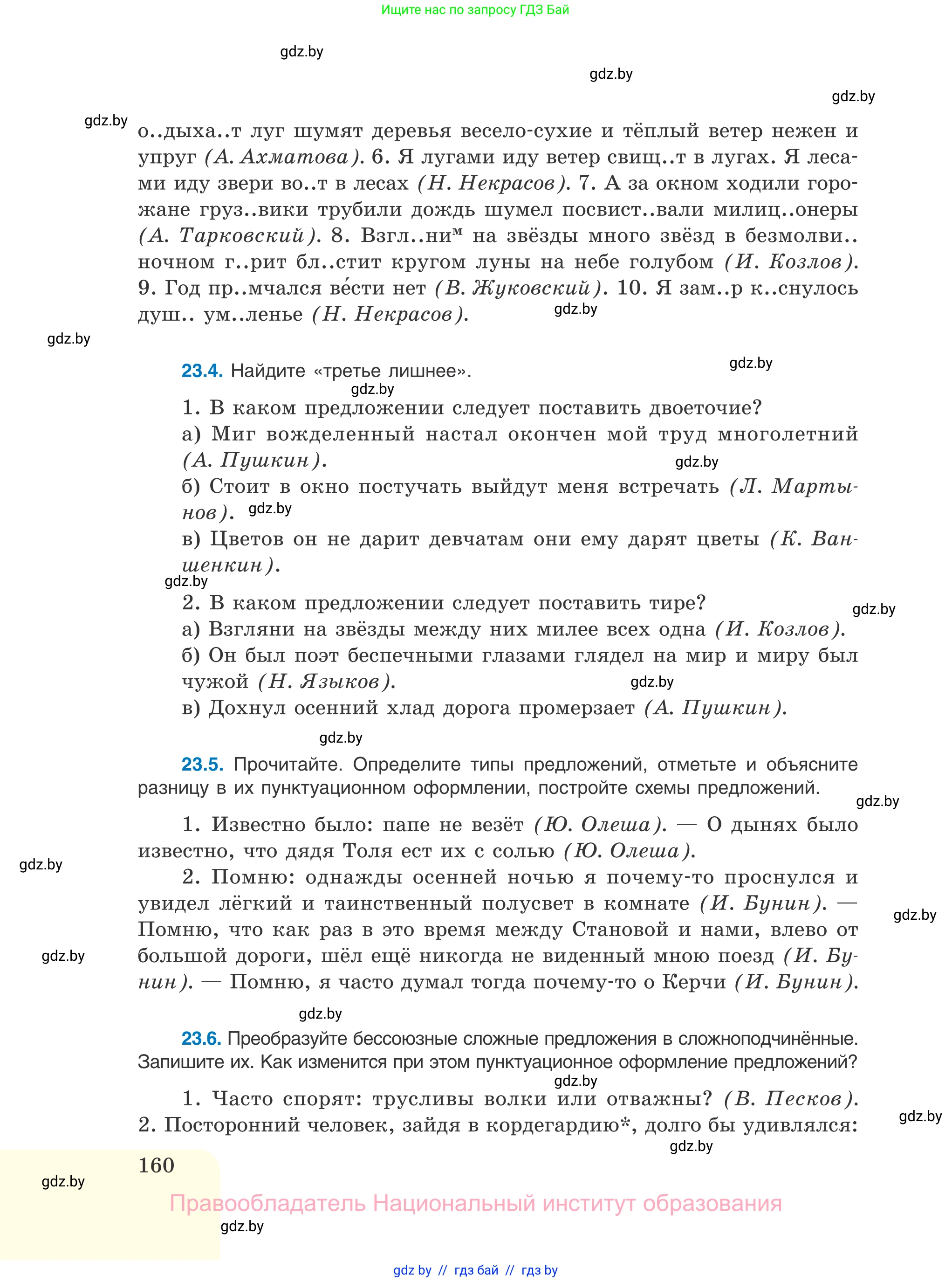 Русский язык, 11 класс Учебник, авторы: Долбик Елена Евгеньевна, Литвинко Франя Михайловна, Мурина Лариса Александровна, Шиманович Т В, Таяновская И В, Орловская О Я, издательство Национальный институт образования, Минск, 2021, страница 160
