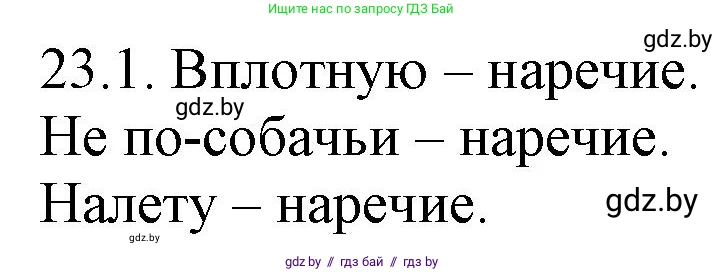 Русский язык, 11 класс Учебник, авторы: Долбик Елена Евгеньевна, Литвинко Франя Михайловна, Мурина Лариса Александровна, Шиманович Т В, Таяновская И В, Орловская О Я, издательство Национальный институт образования, Минск, 2021, страница 157, номер 23.1, Решение