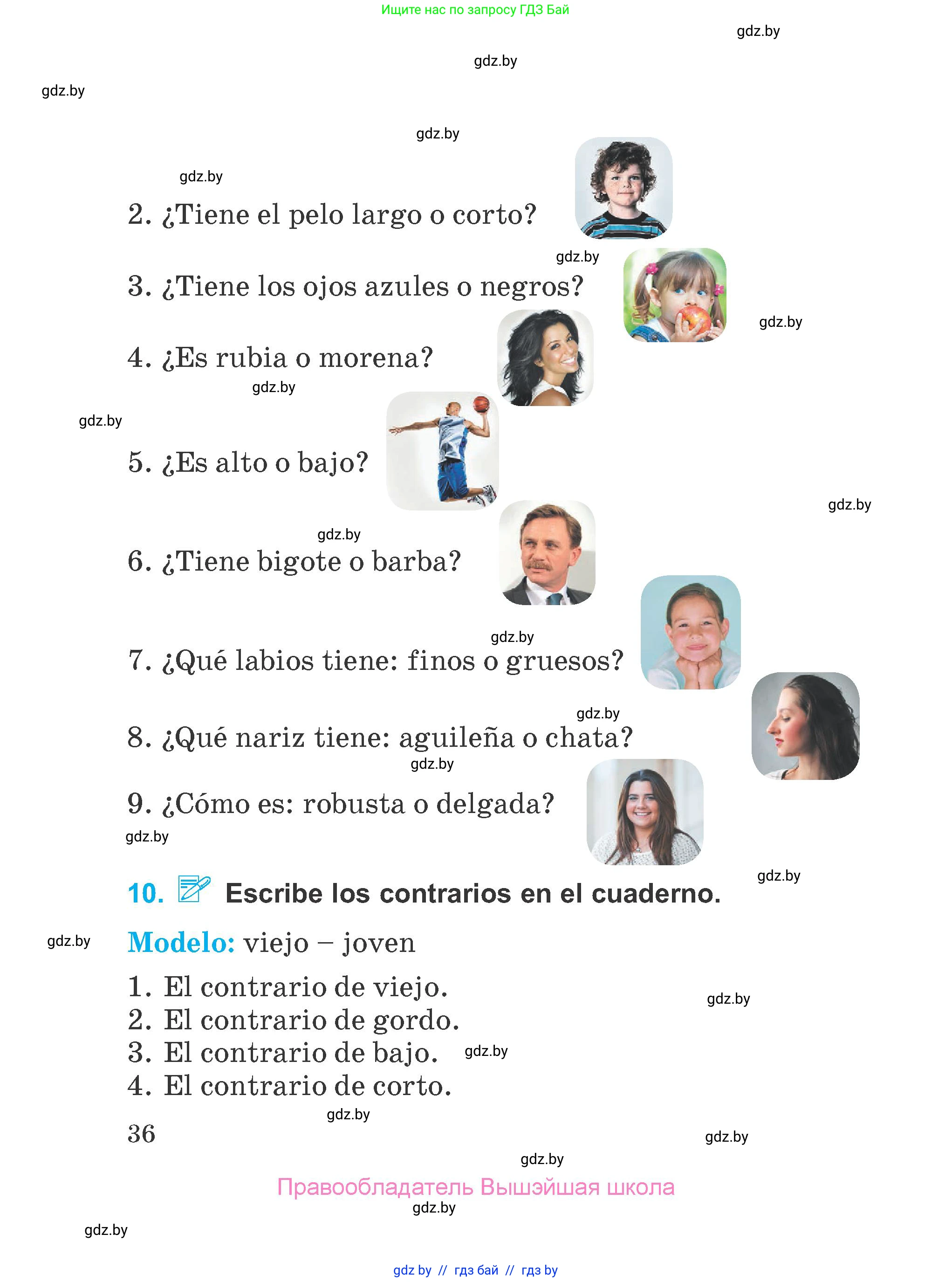 Испанский язык, 4 класс Учебник, авторы: Гриневич Елена Карловна, Бахар Лариса Николаевна, издательство Вышэйшая школа, Минск, 2019, красного цвета, Часть 1, страница 36